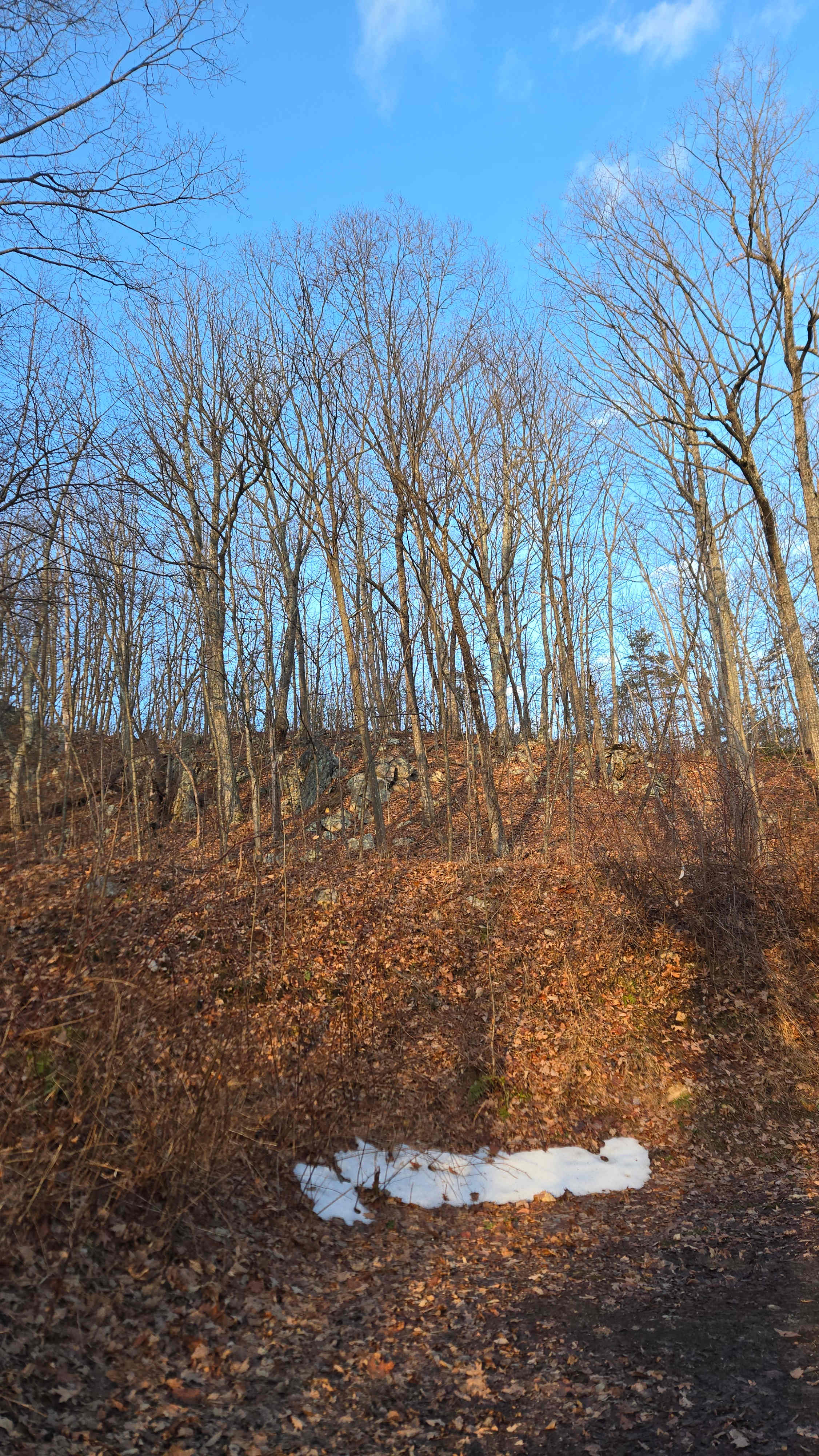 Shenandoah Valley MTN
