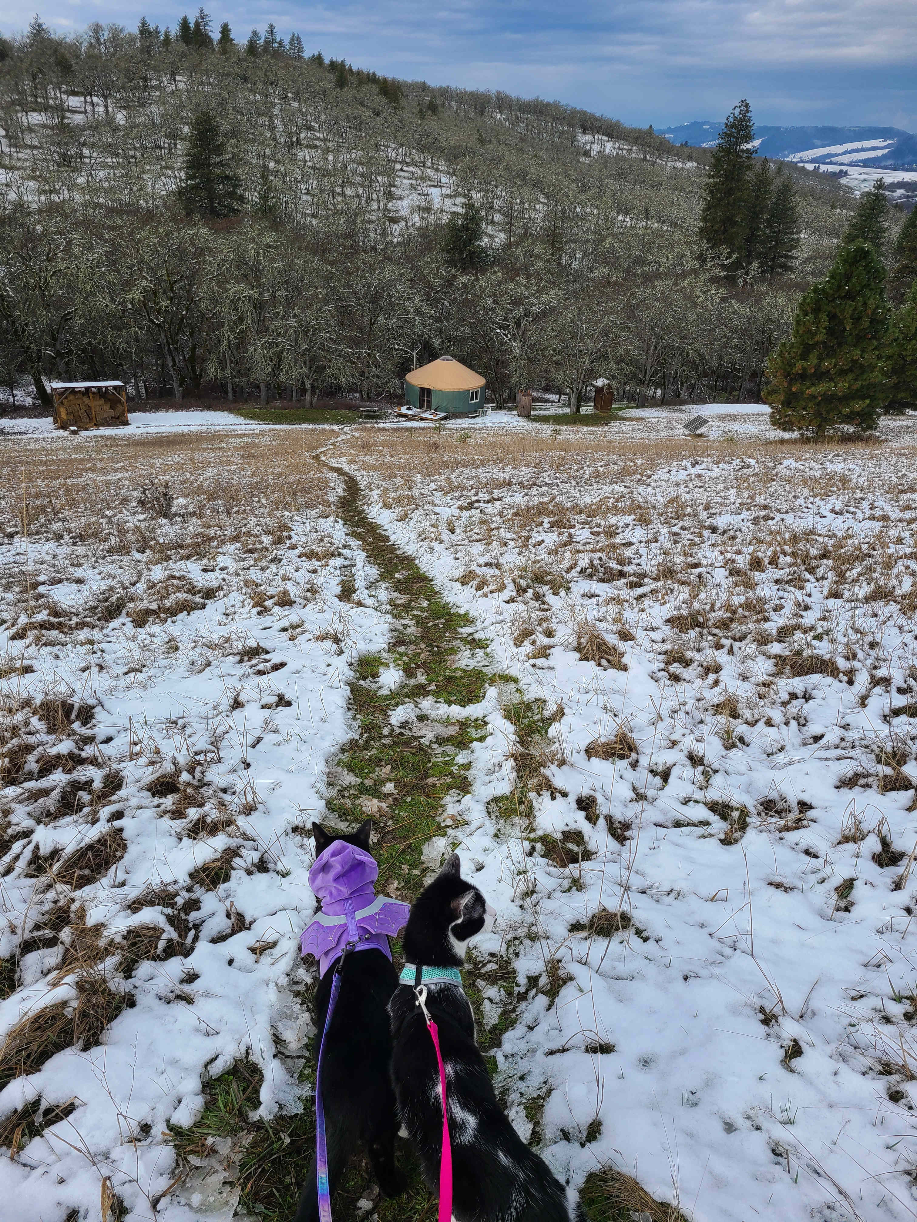 Bruce and Rak didn't want to leave