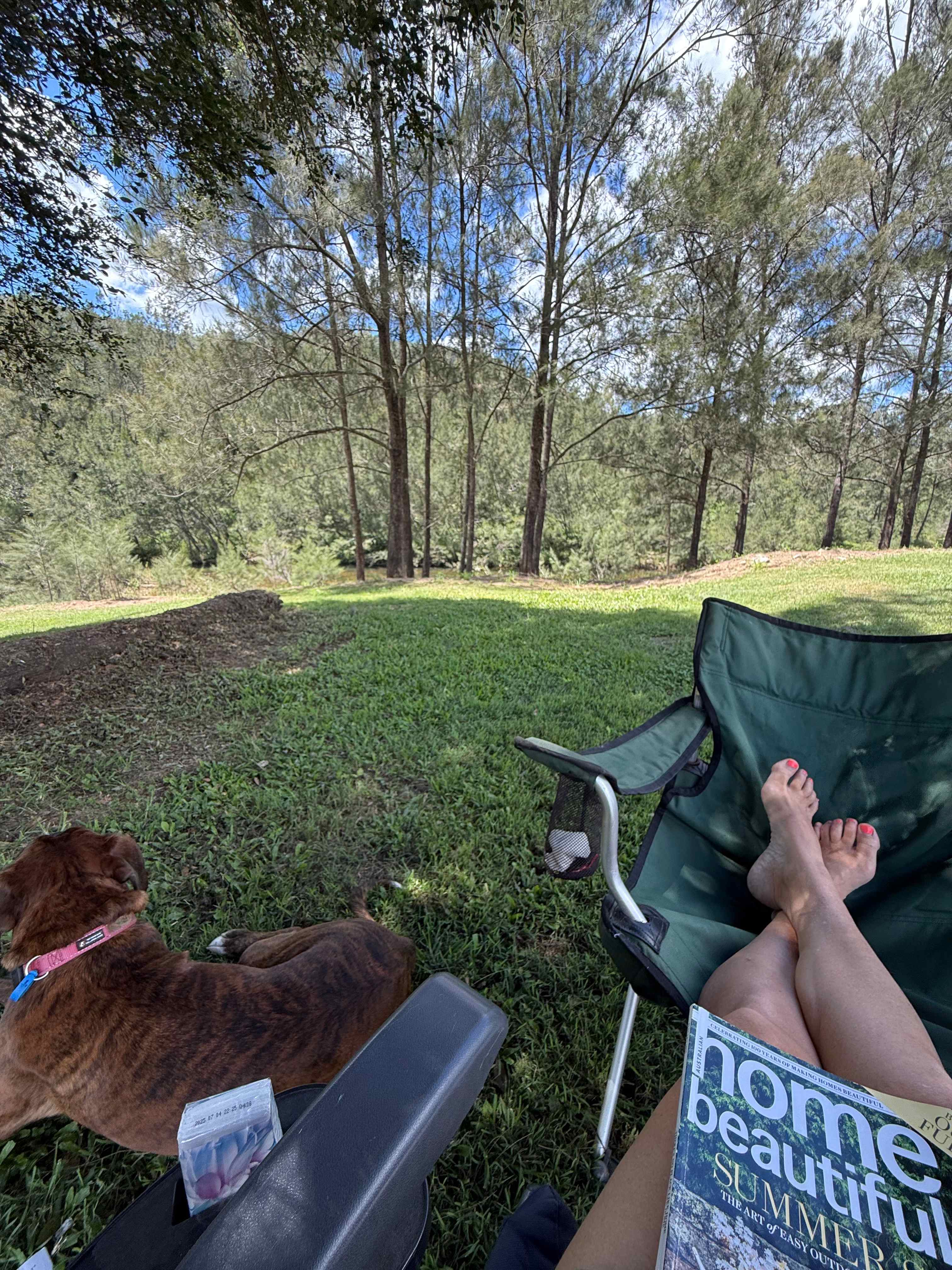 Guppy Gully on the Mary