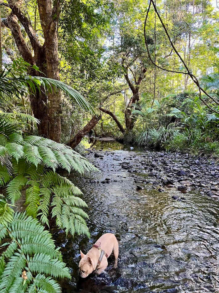 A Place To Call Home