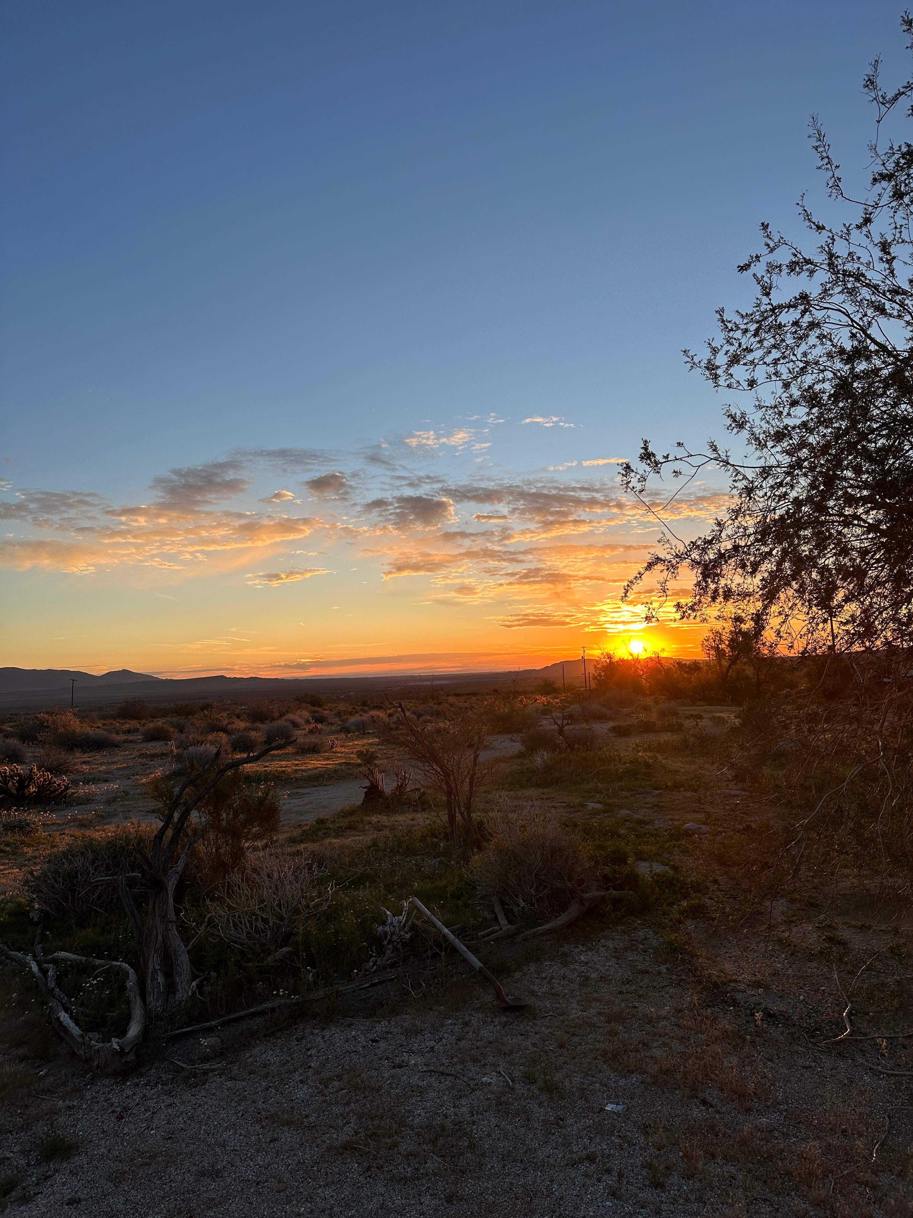 Dark Sky Wilderness Retreat