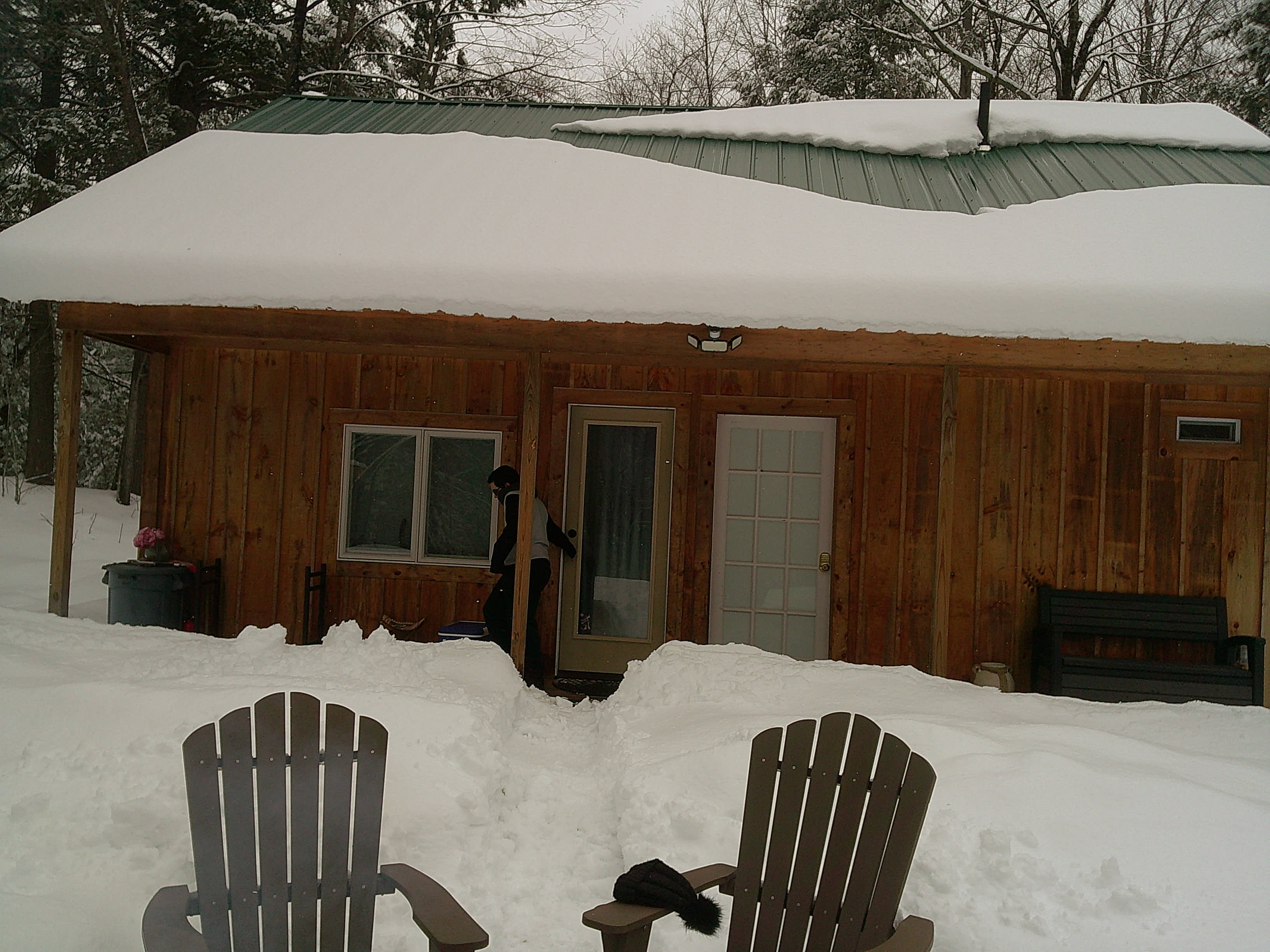 Salamander Hollow Healing Habitat