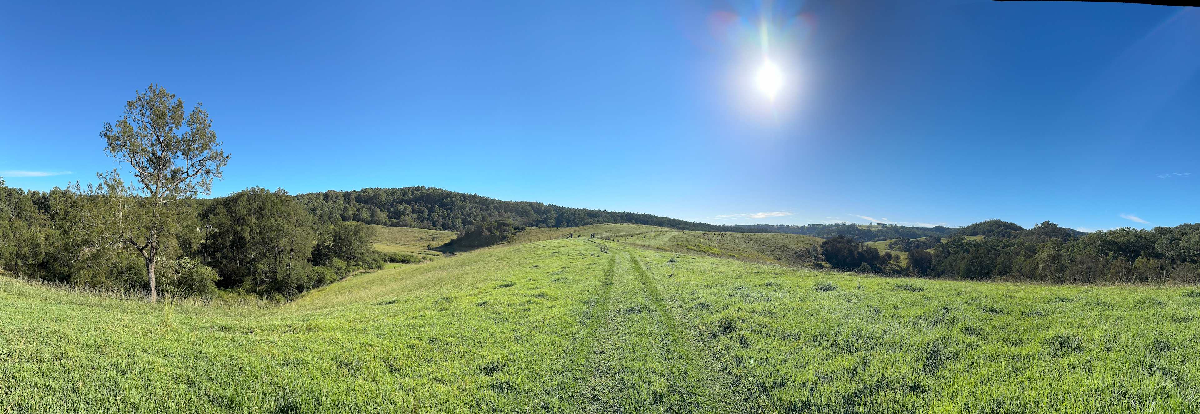 Wild Nymboida Camping Dorrigo