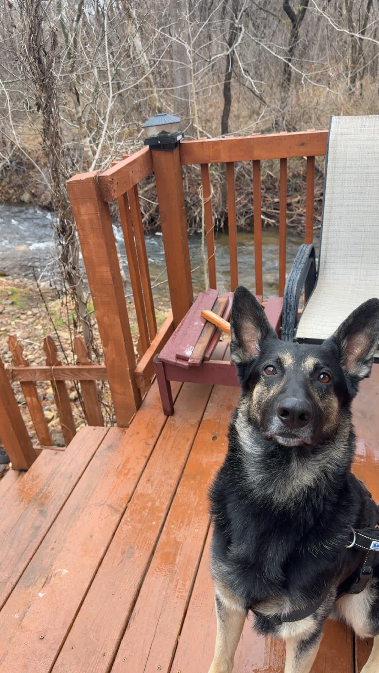 Stoney Creek Campground