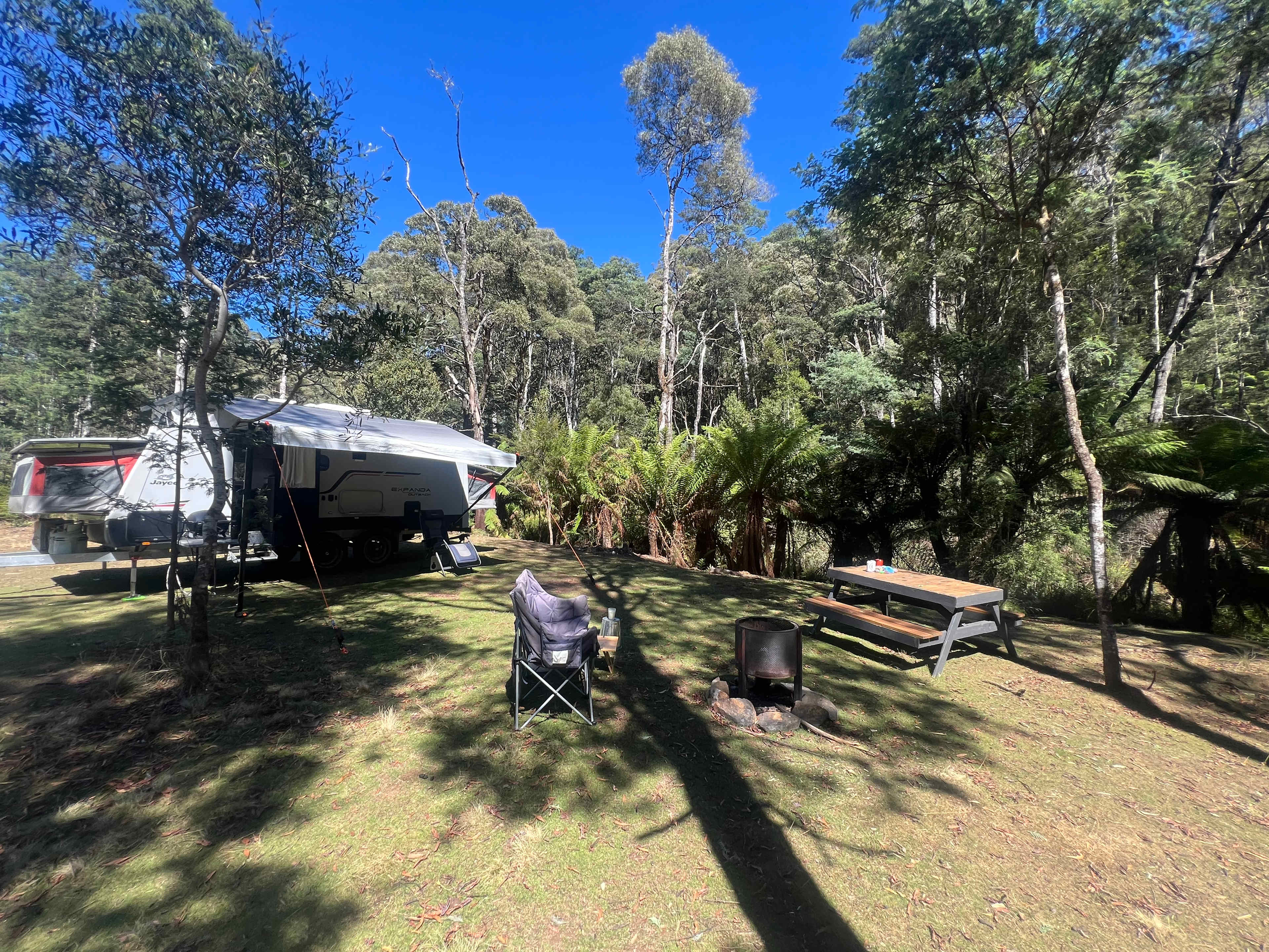 🐞🌿 Ladybug Camping 🌿🐞