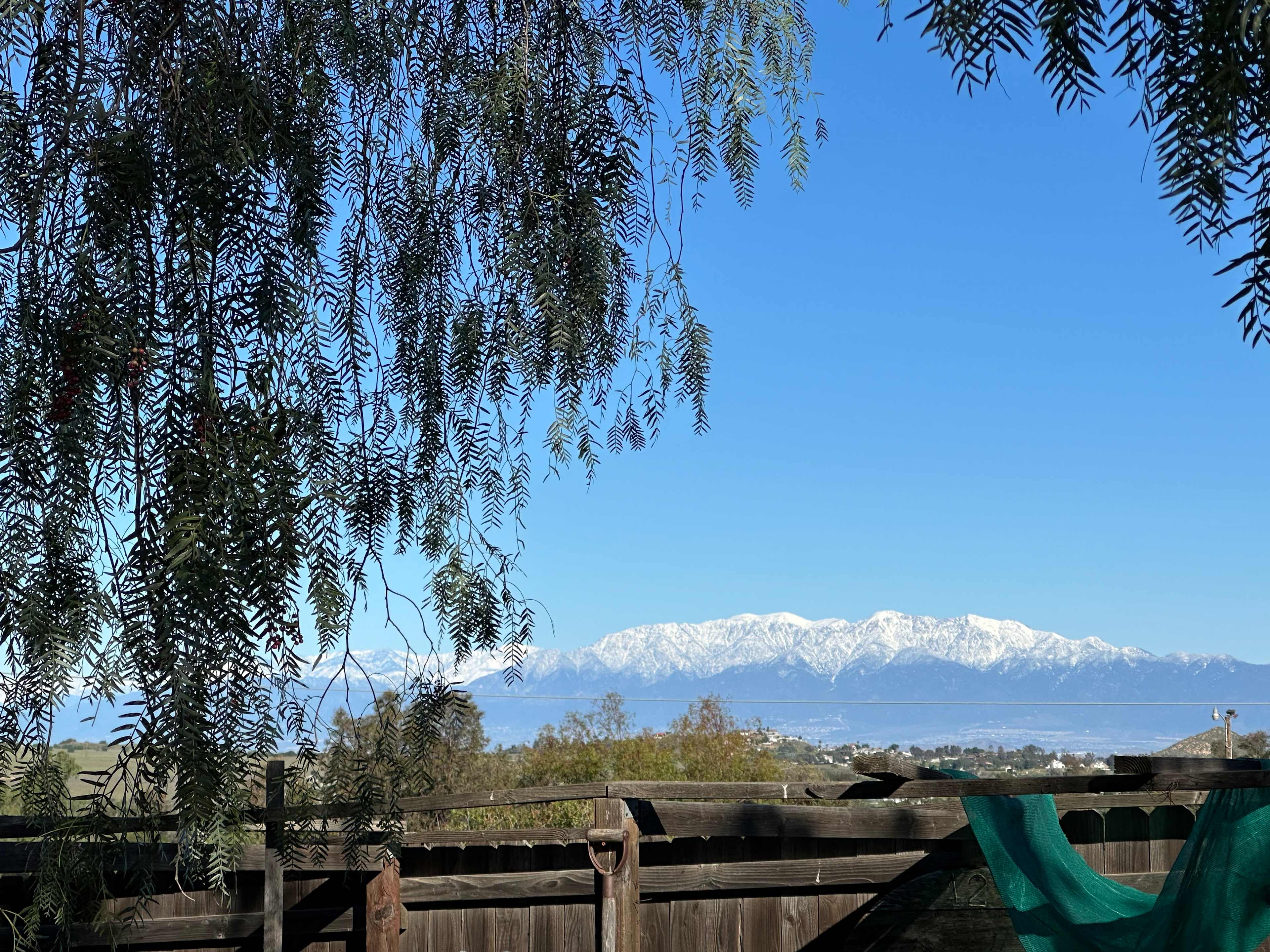 Zen Ranch And Retreat