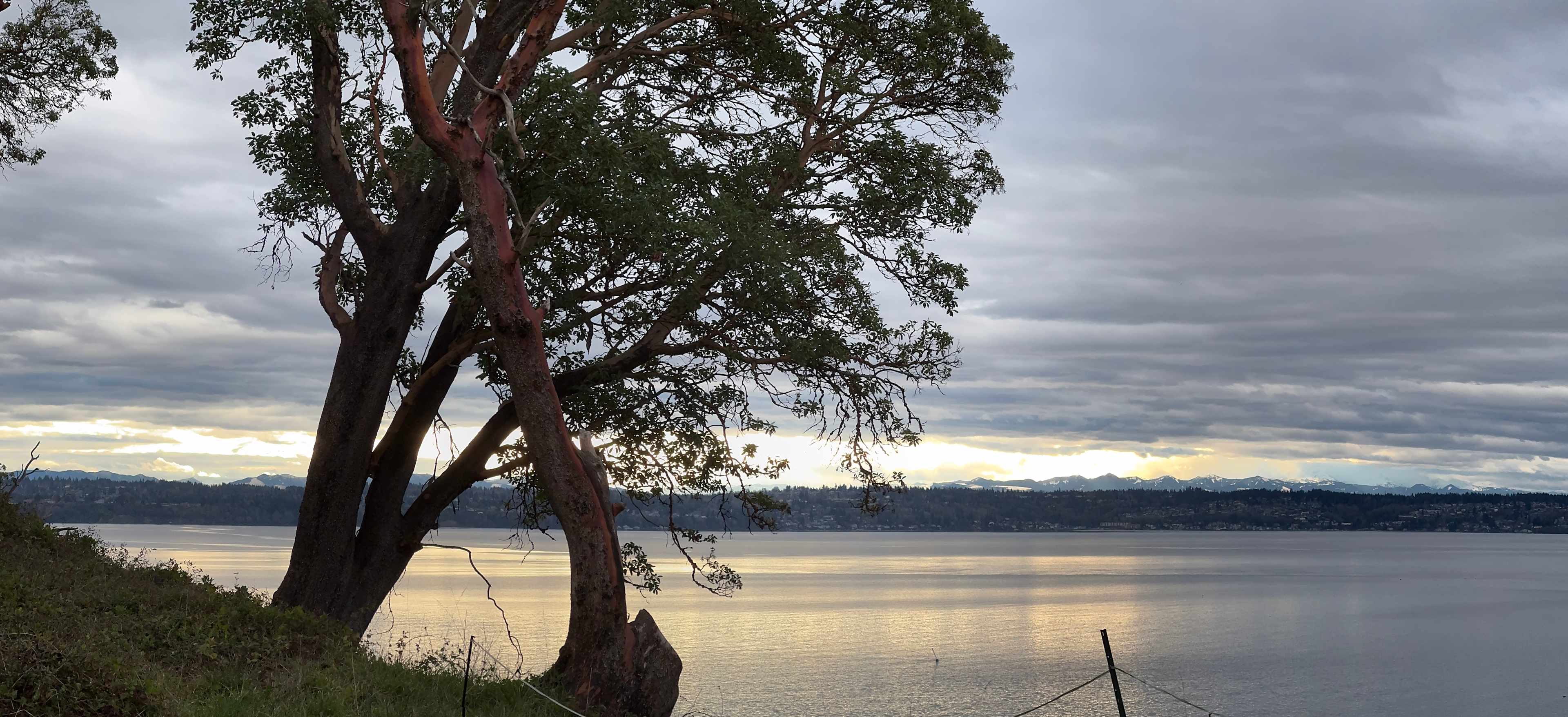 Private Beach, 15 Acres, Vashon