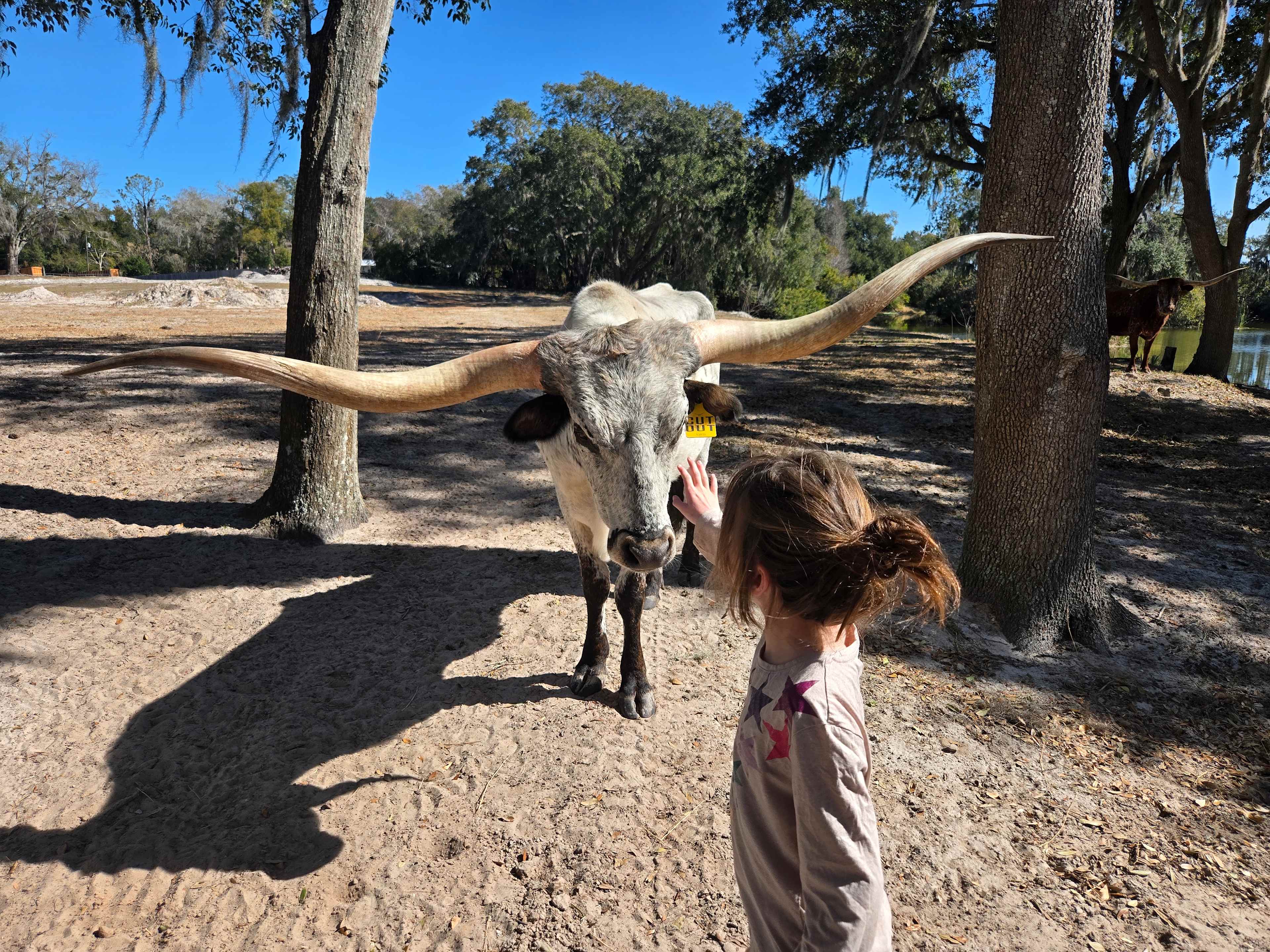 Wilderness Shores Ranch Campground!
