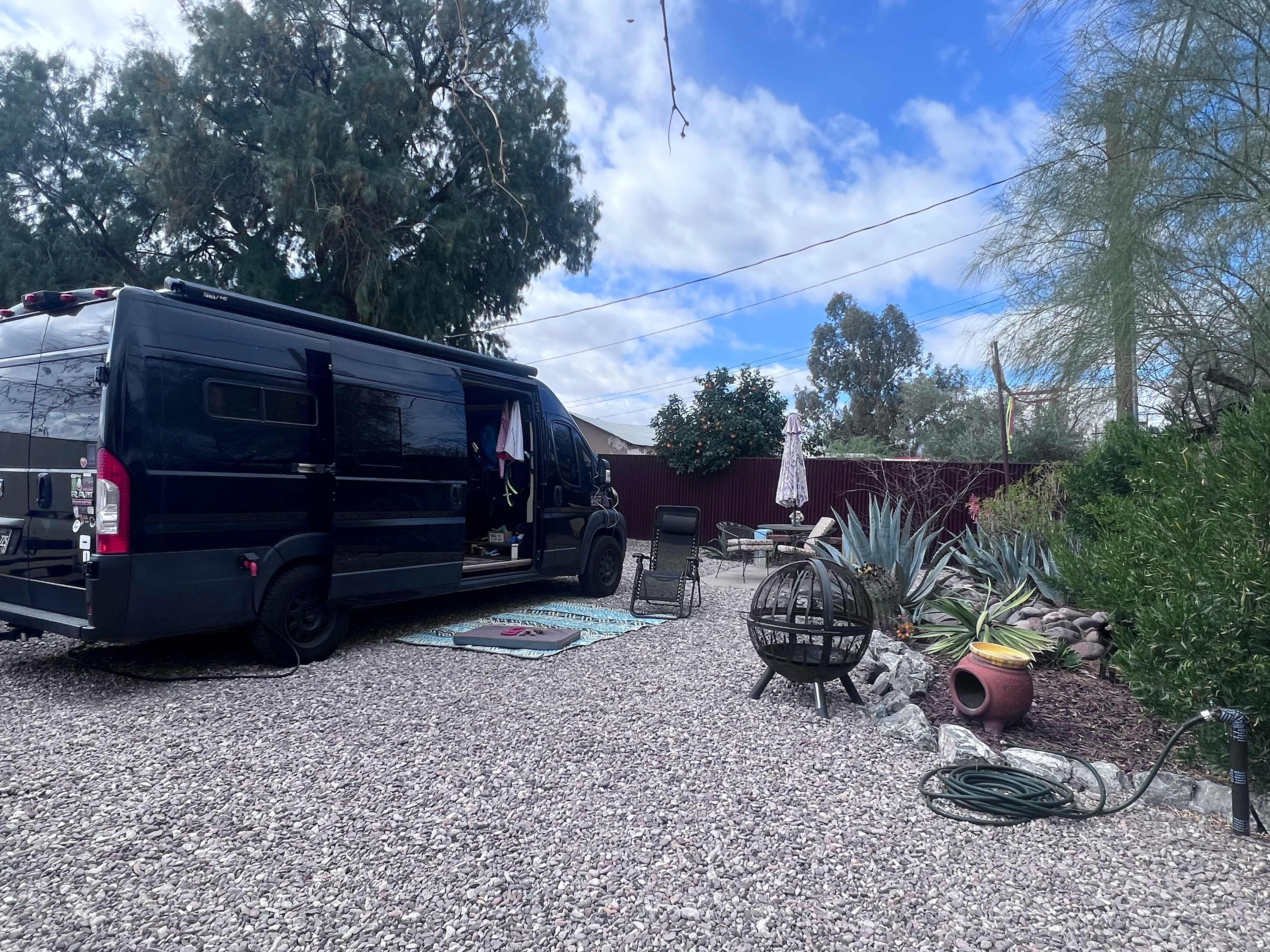 Roadrunner Tucson Birds and Cacti