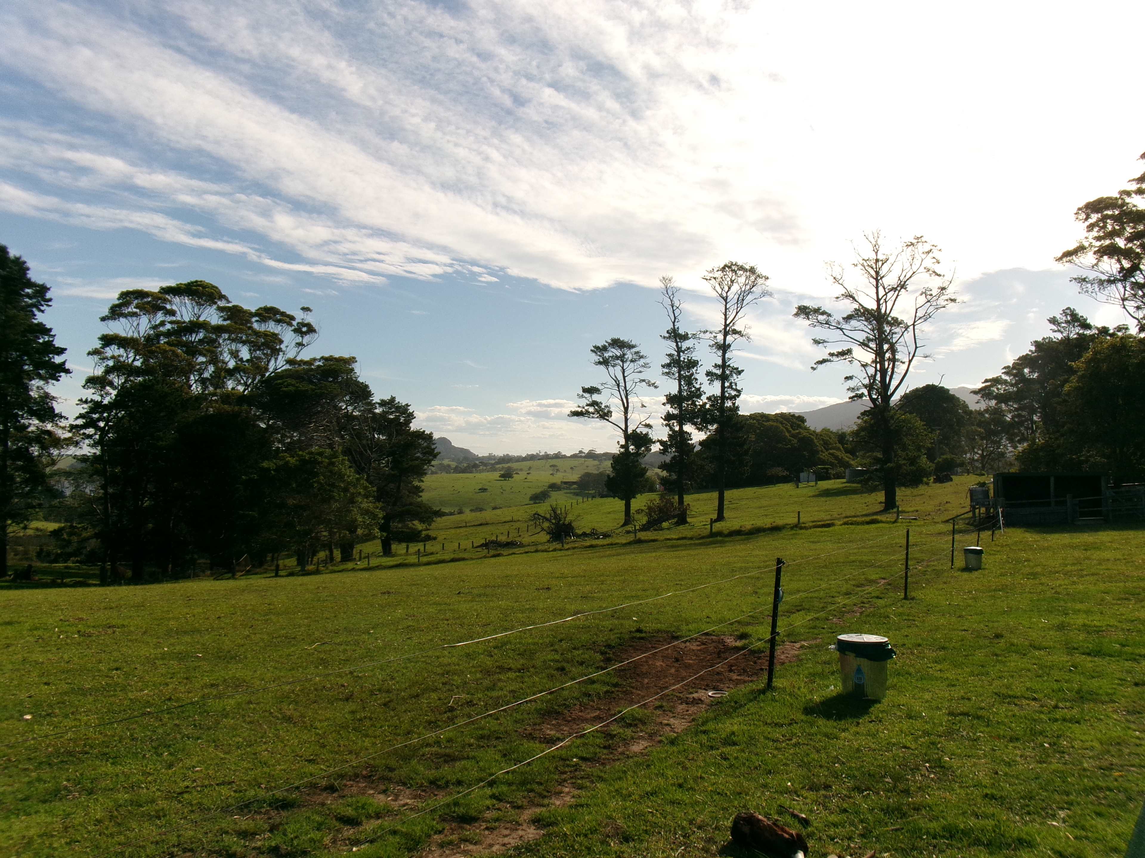 Figtree Camp @ Mystery Bay