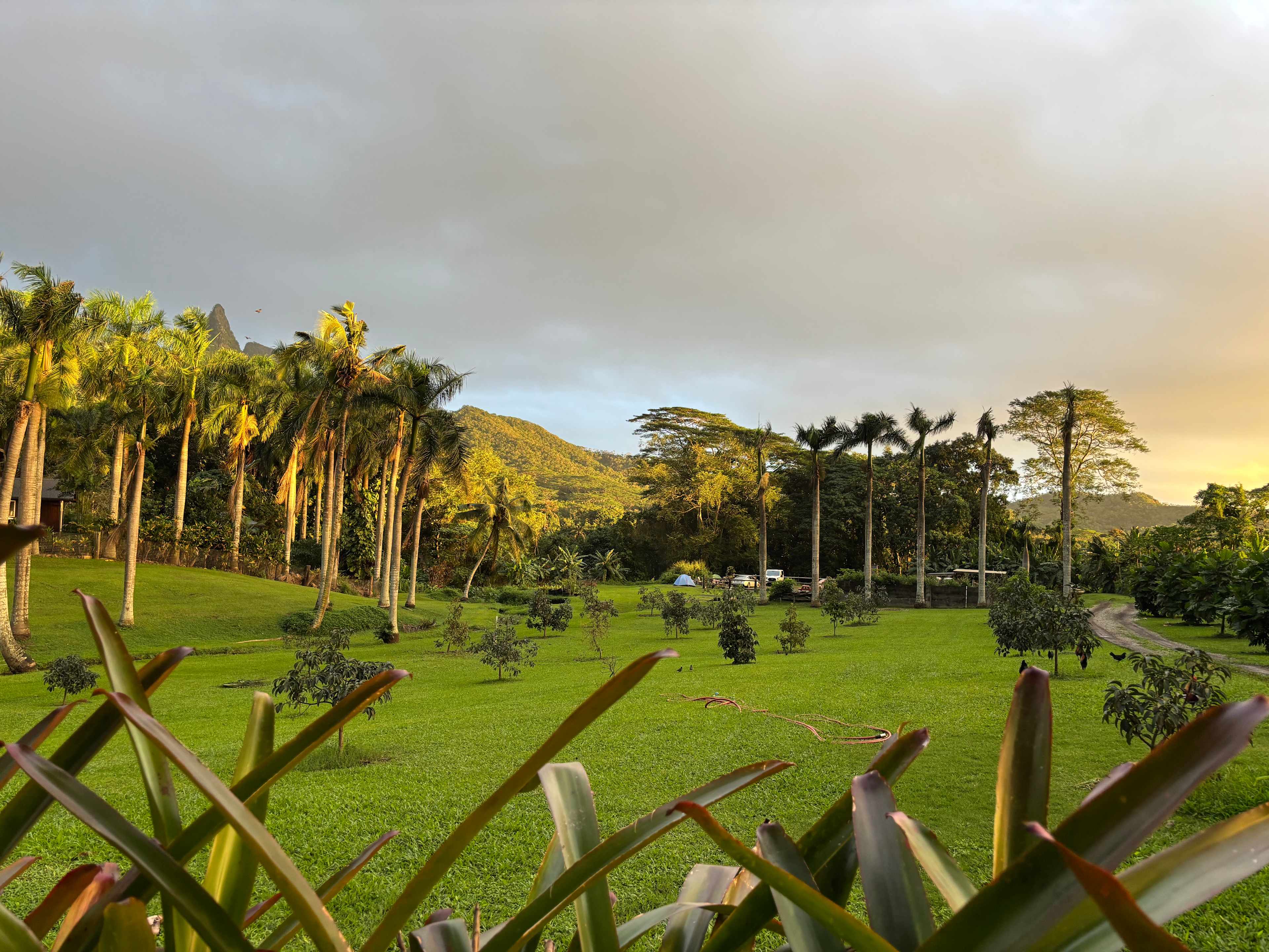 Waimanalo Farmstay