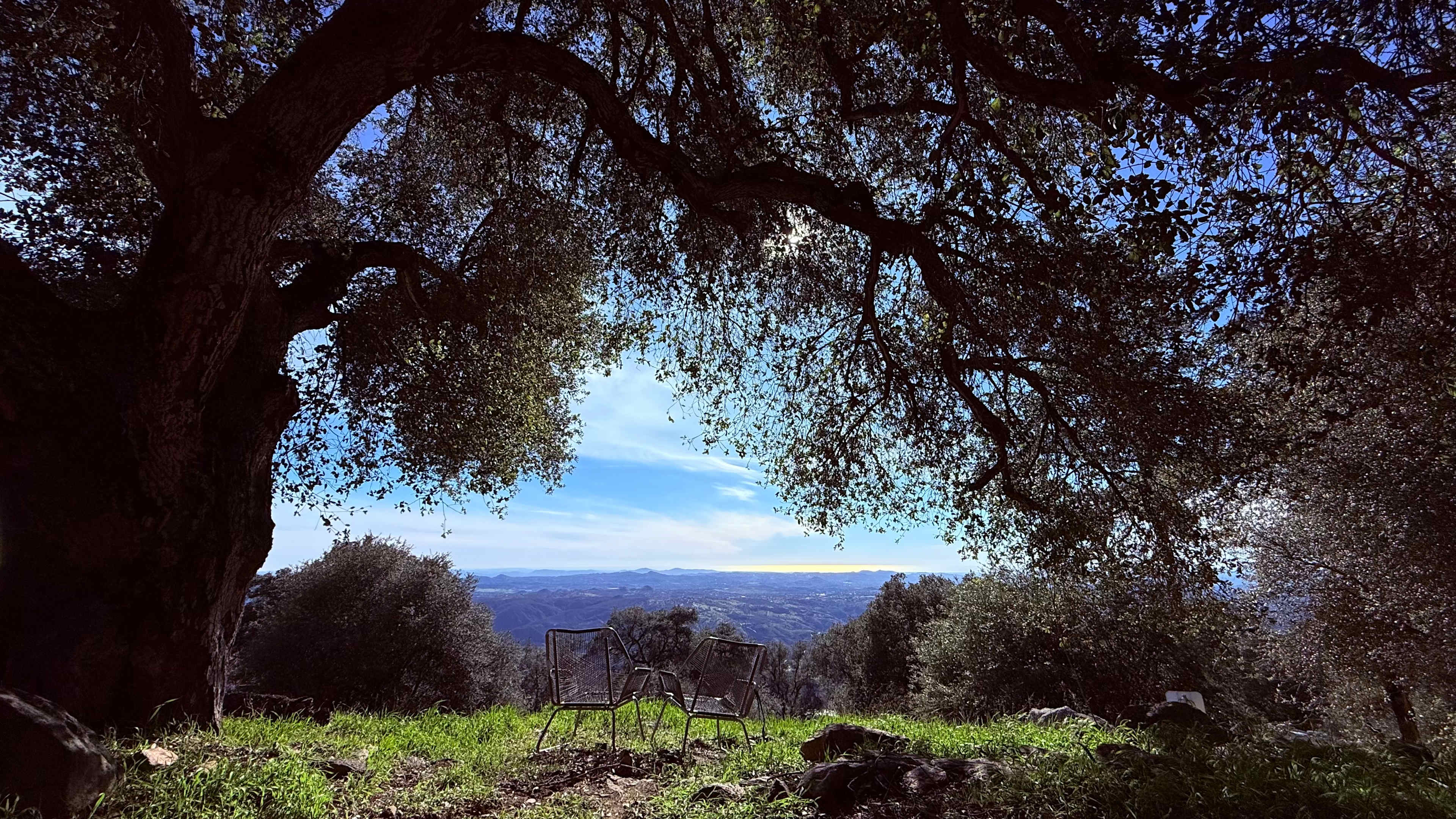 Magical Harrison Serenity Ranch