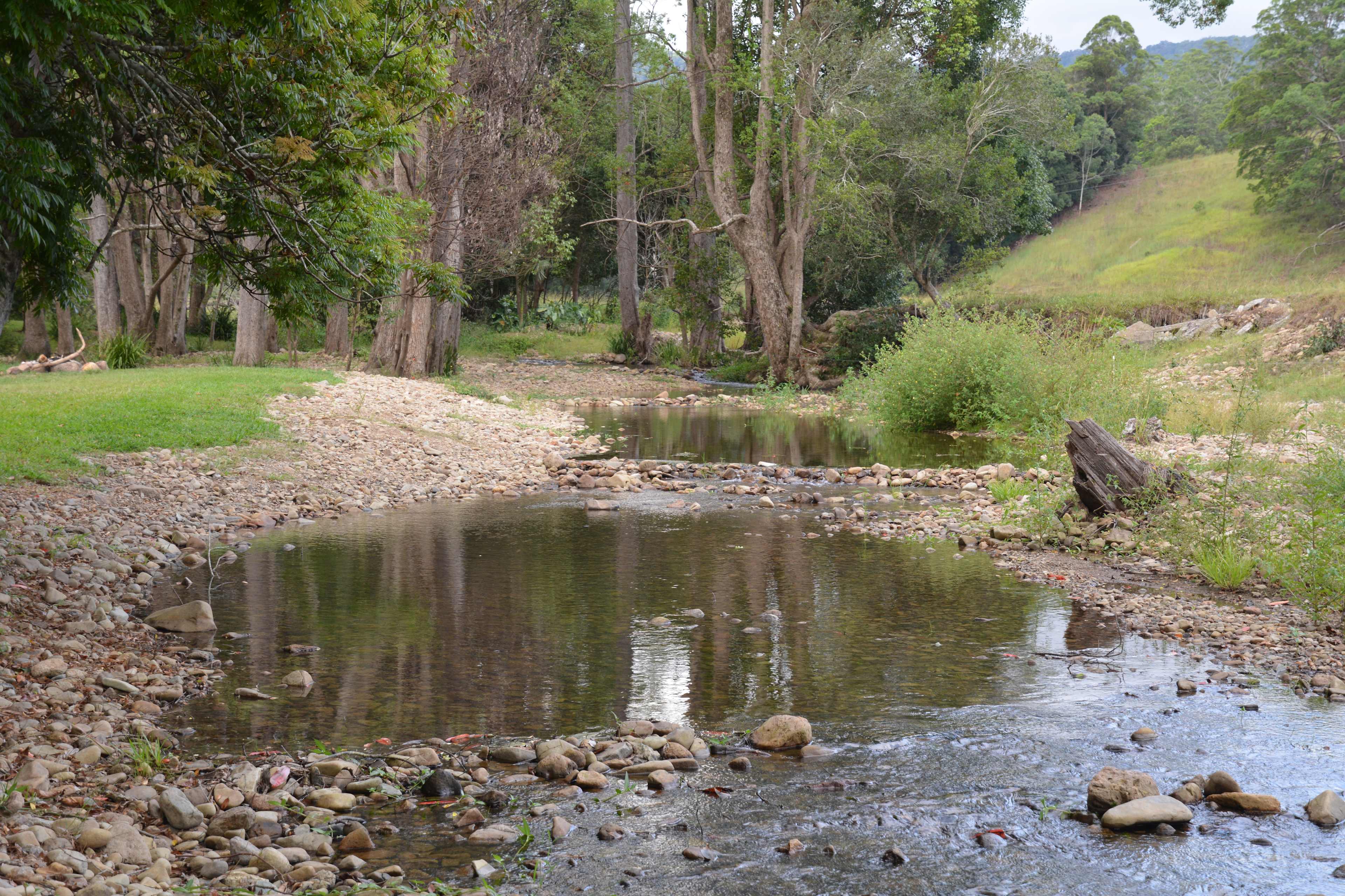 A Campsite on Crystal Creek