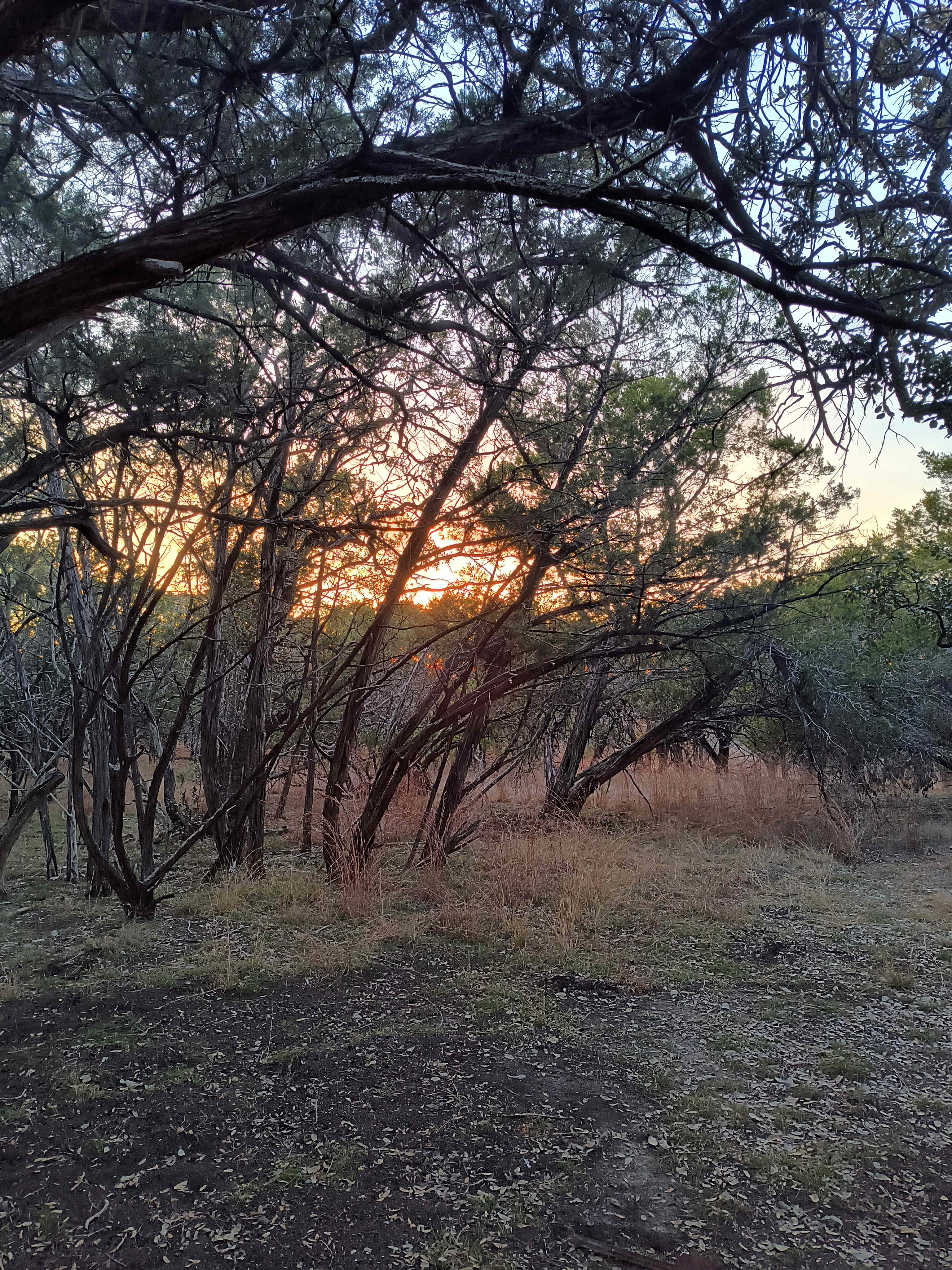 Fishers Of Men Ranch