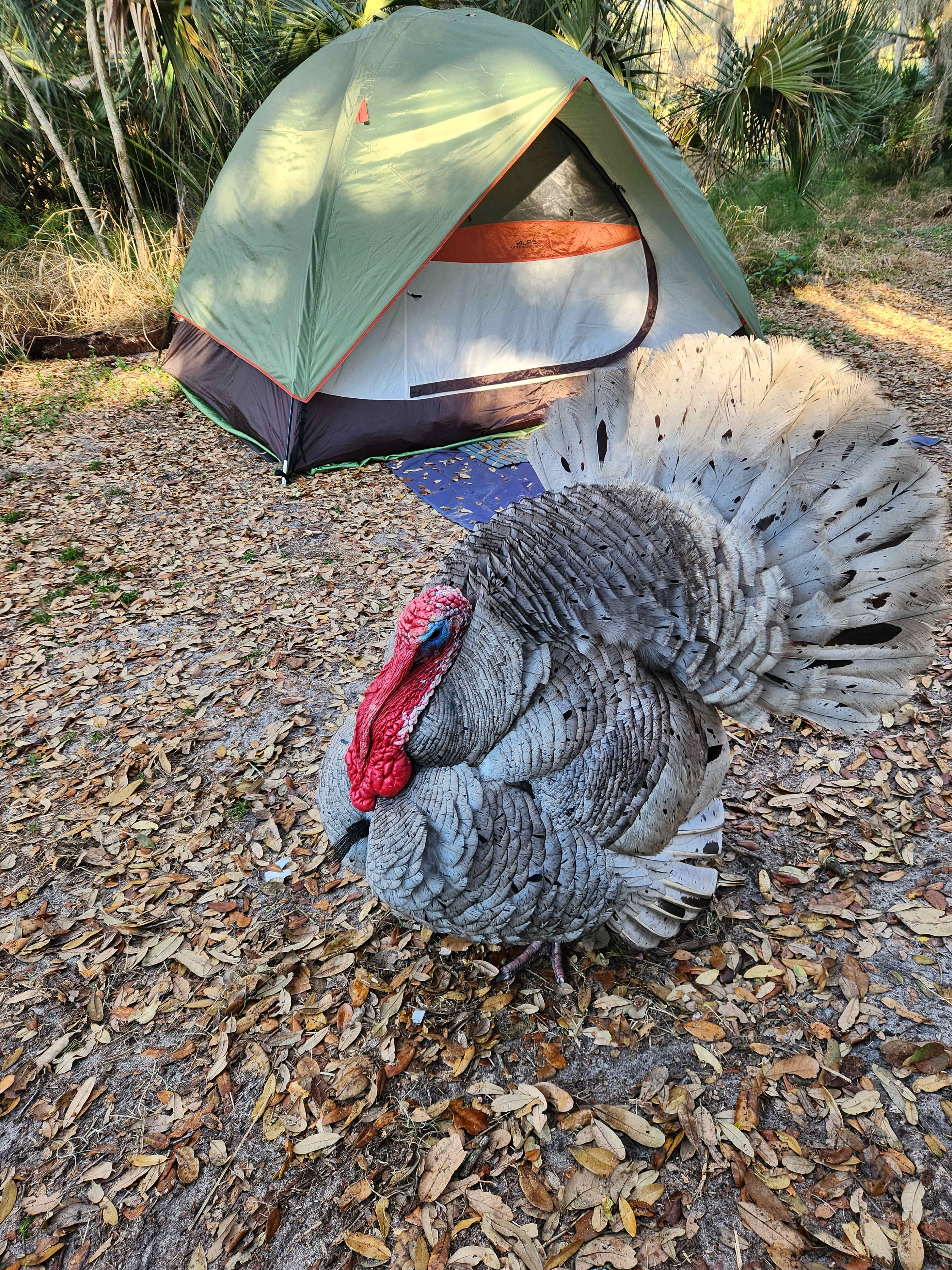 North Shore Relic Ranch