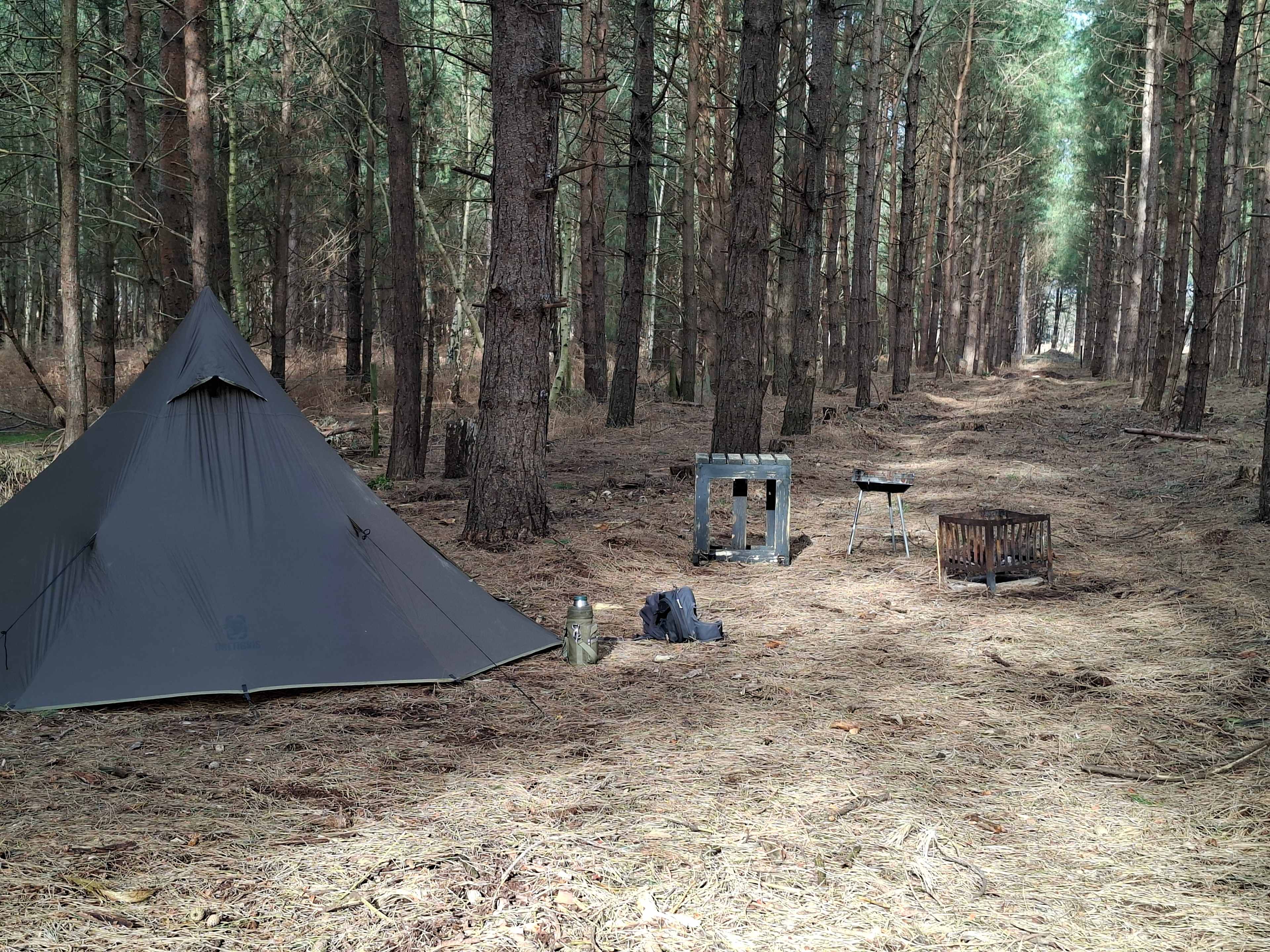 Holistic Woods Wild Campsite