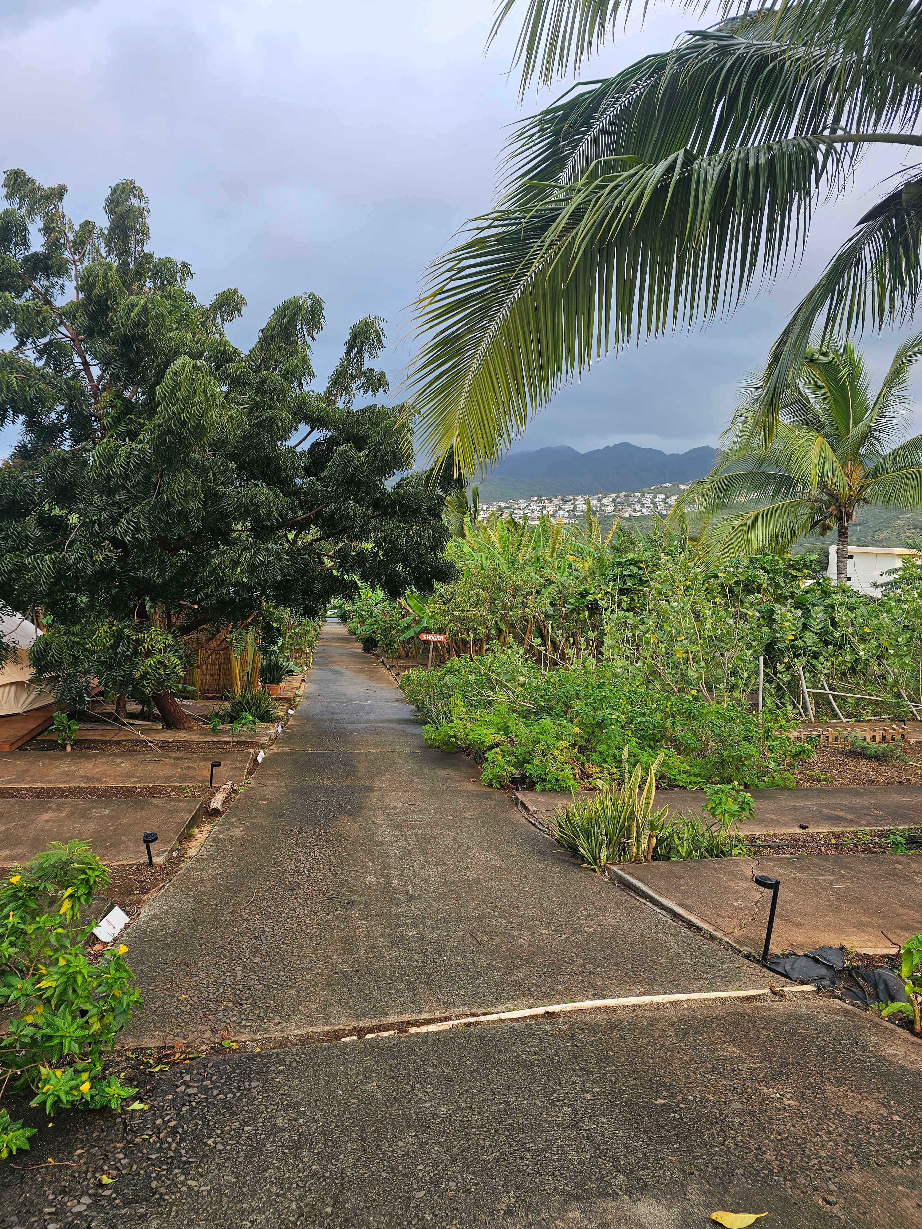 Just a few steps away from the van spot