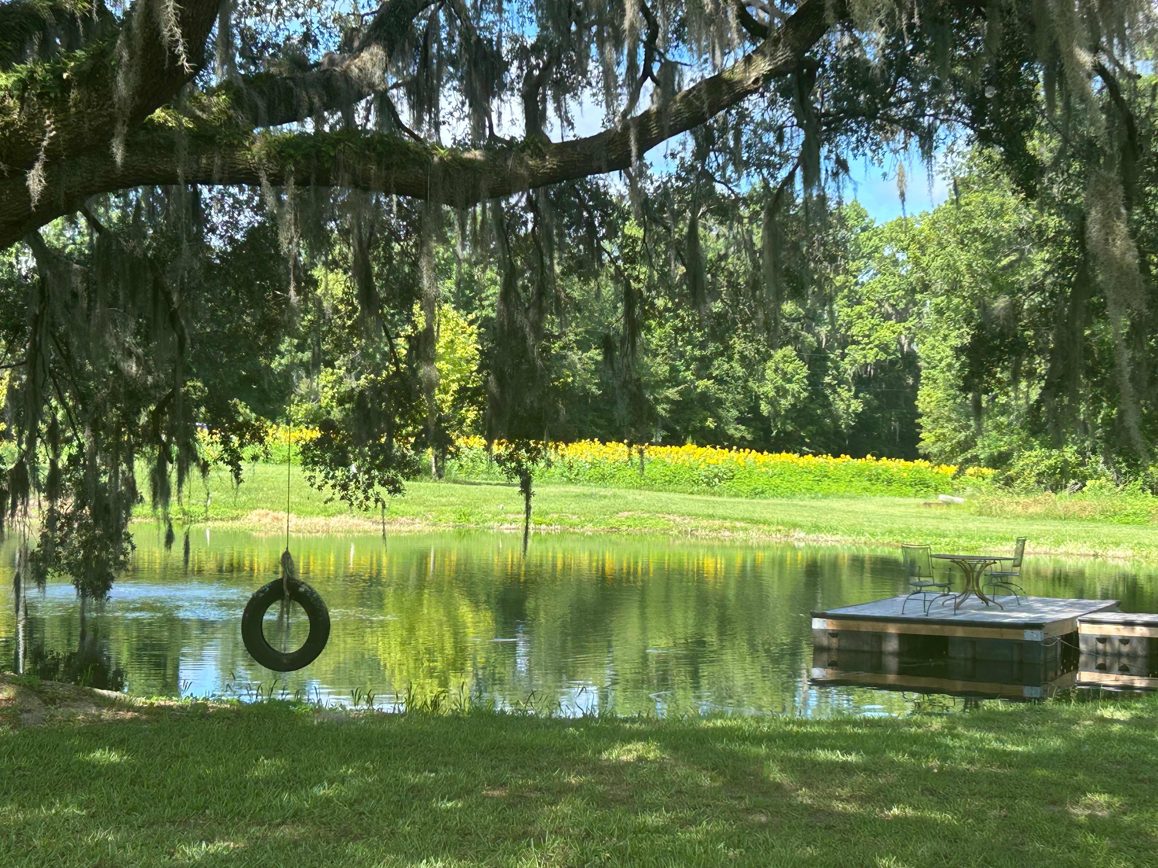 Our Peaceful farm near Alachua