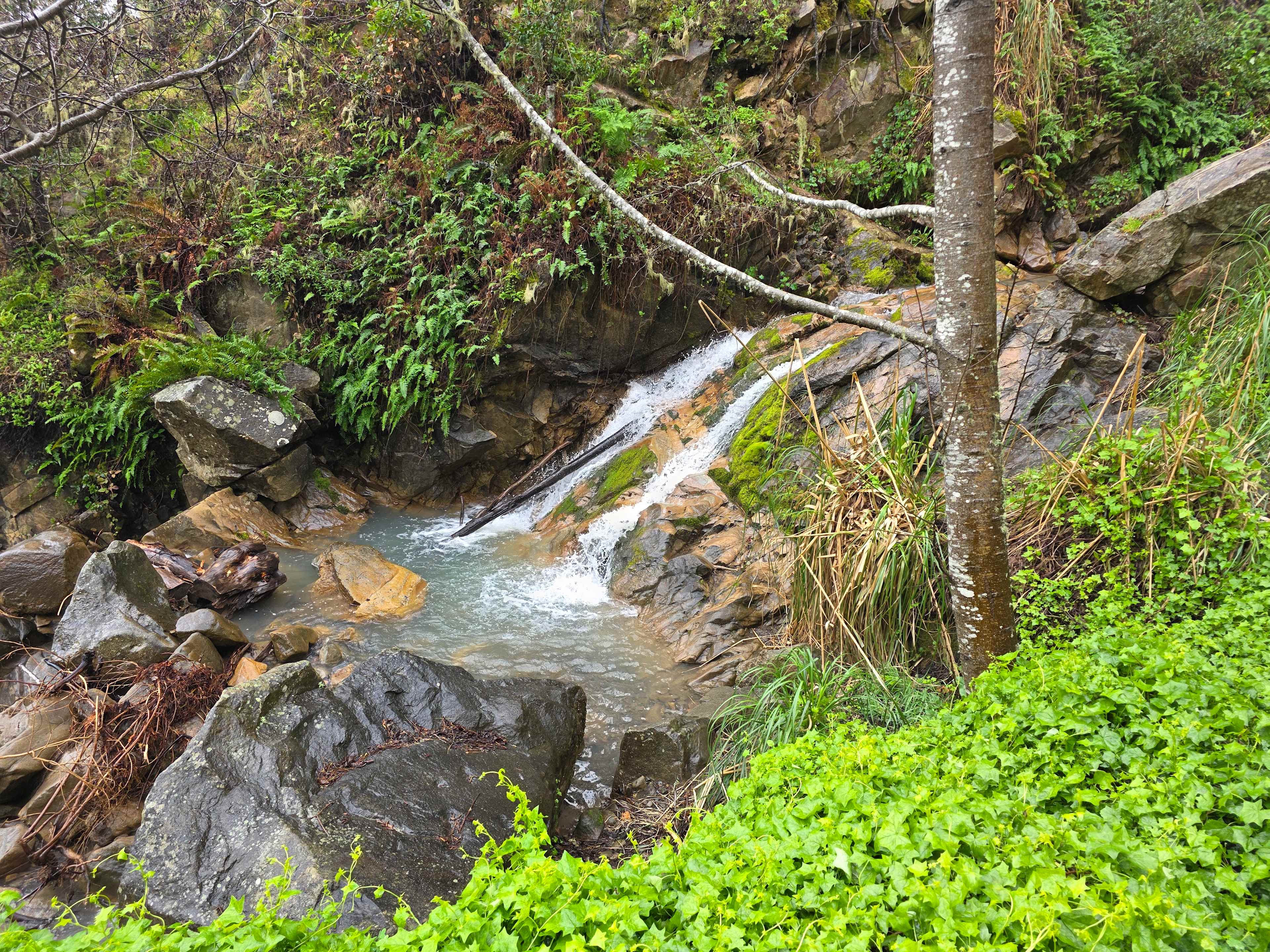 Timber Cove Campground