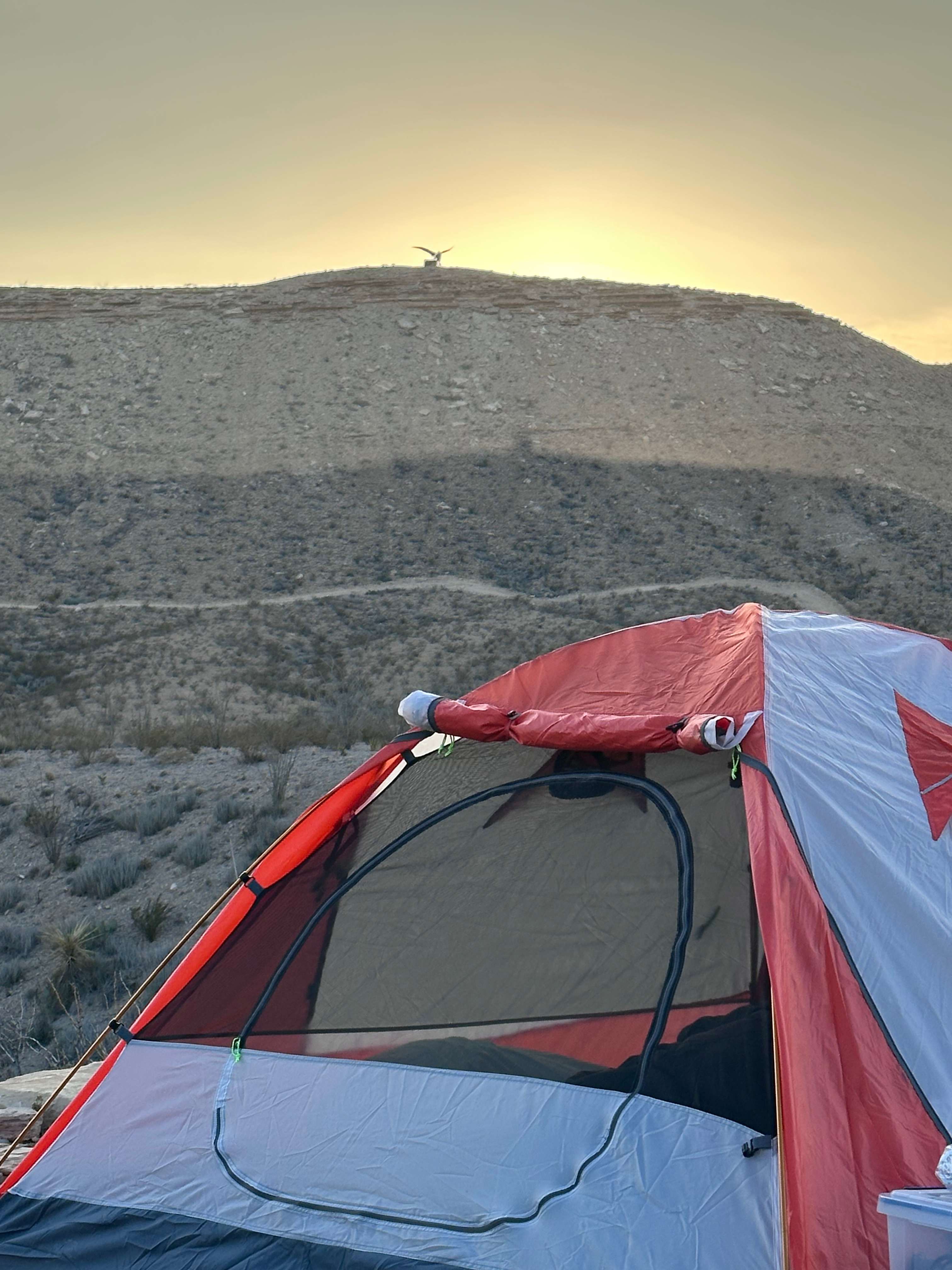 The Bus Stop Campground