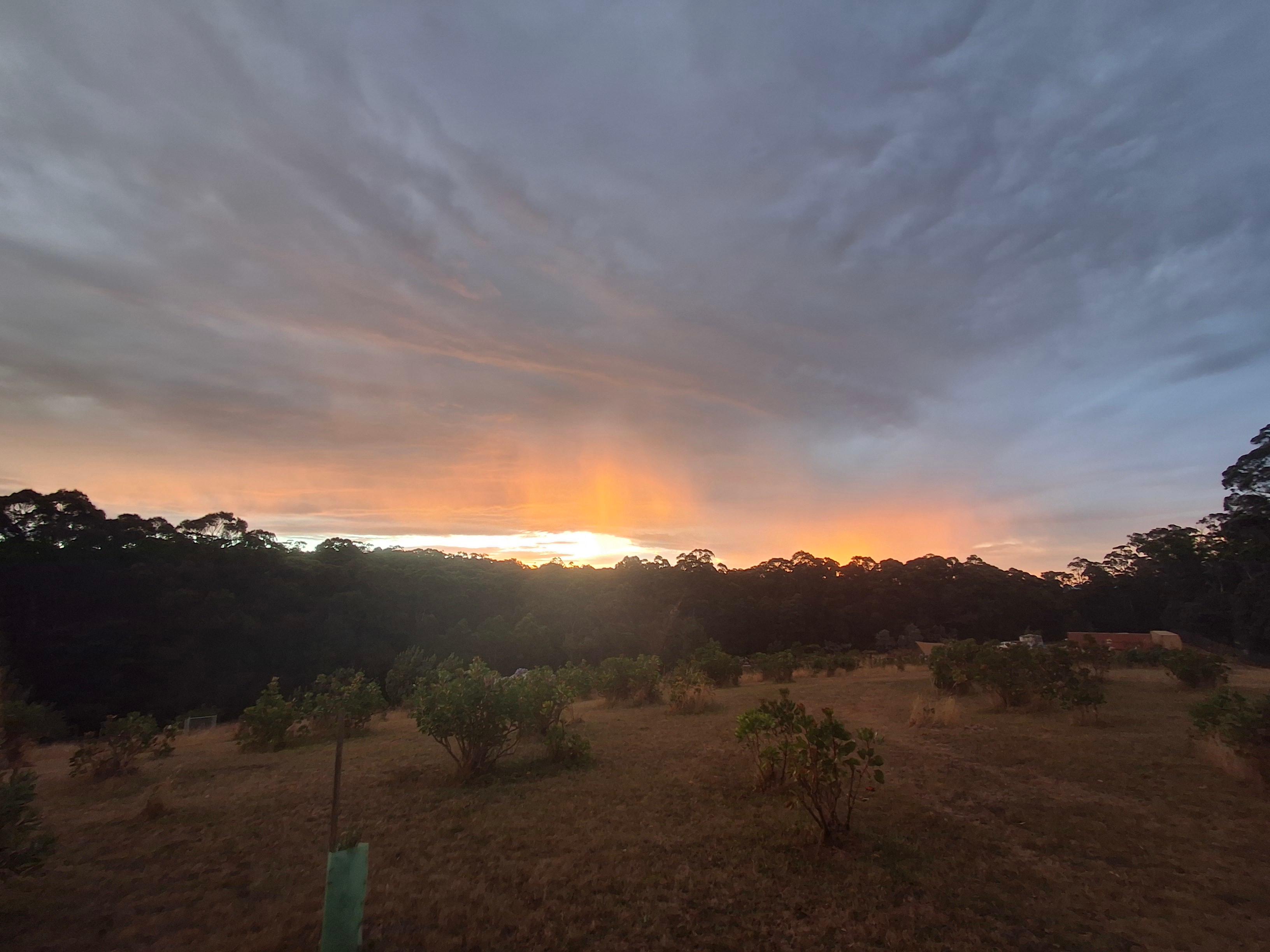 Mountain Flower Farm