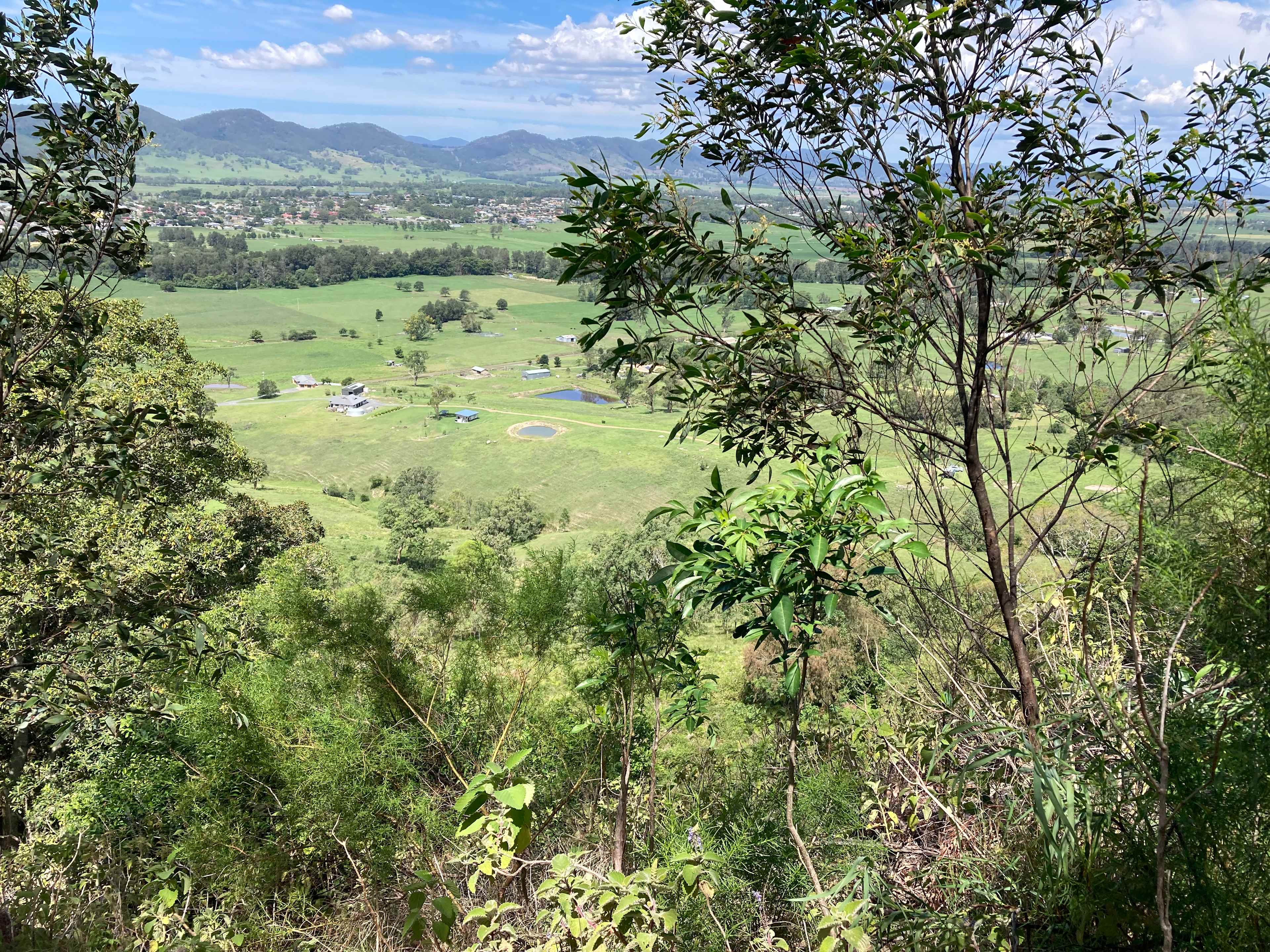 View from the buckets scenic walk that starts at the road next to the sute
