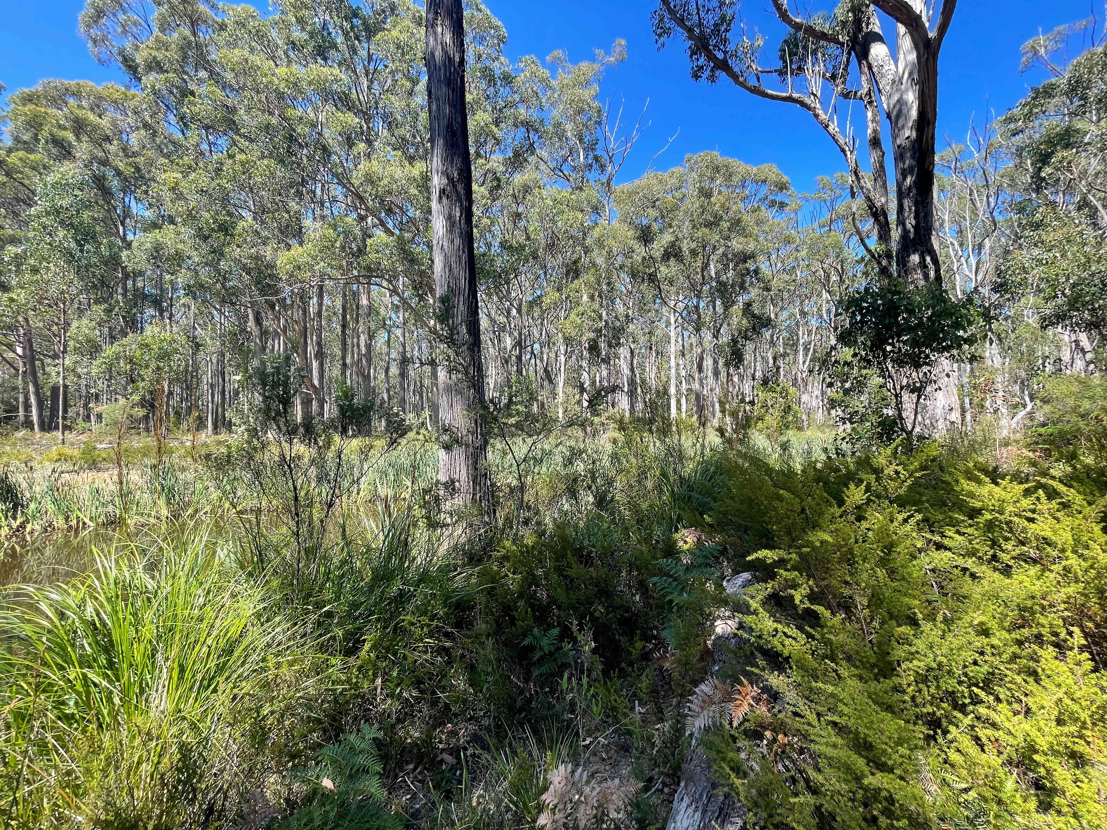 The Little Garden Farm Bruny Island