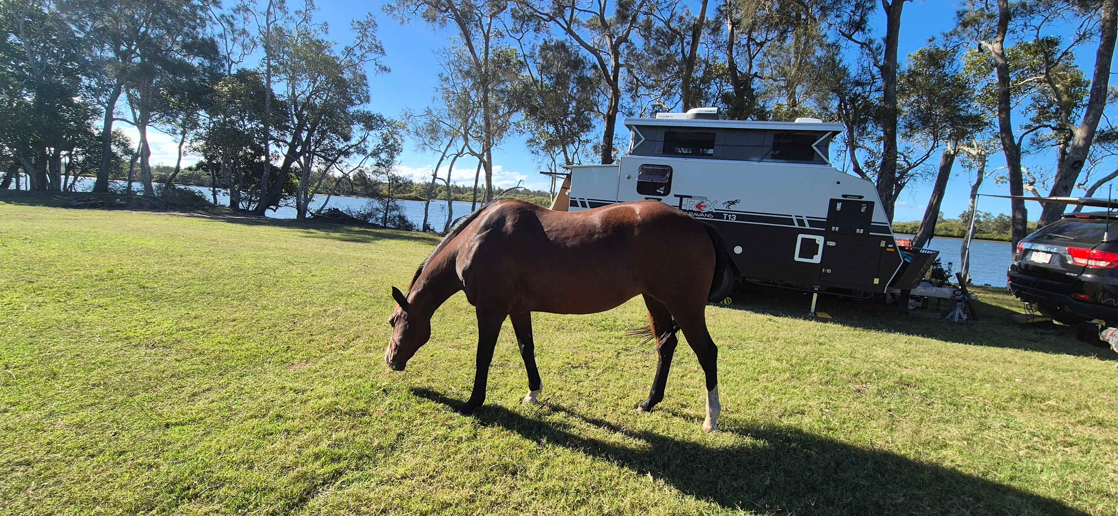 Goodwood Island River Camp & Stay