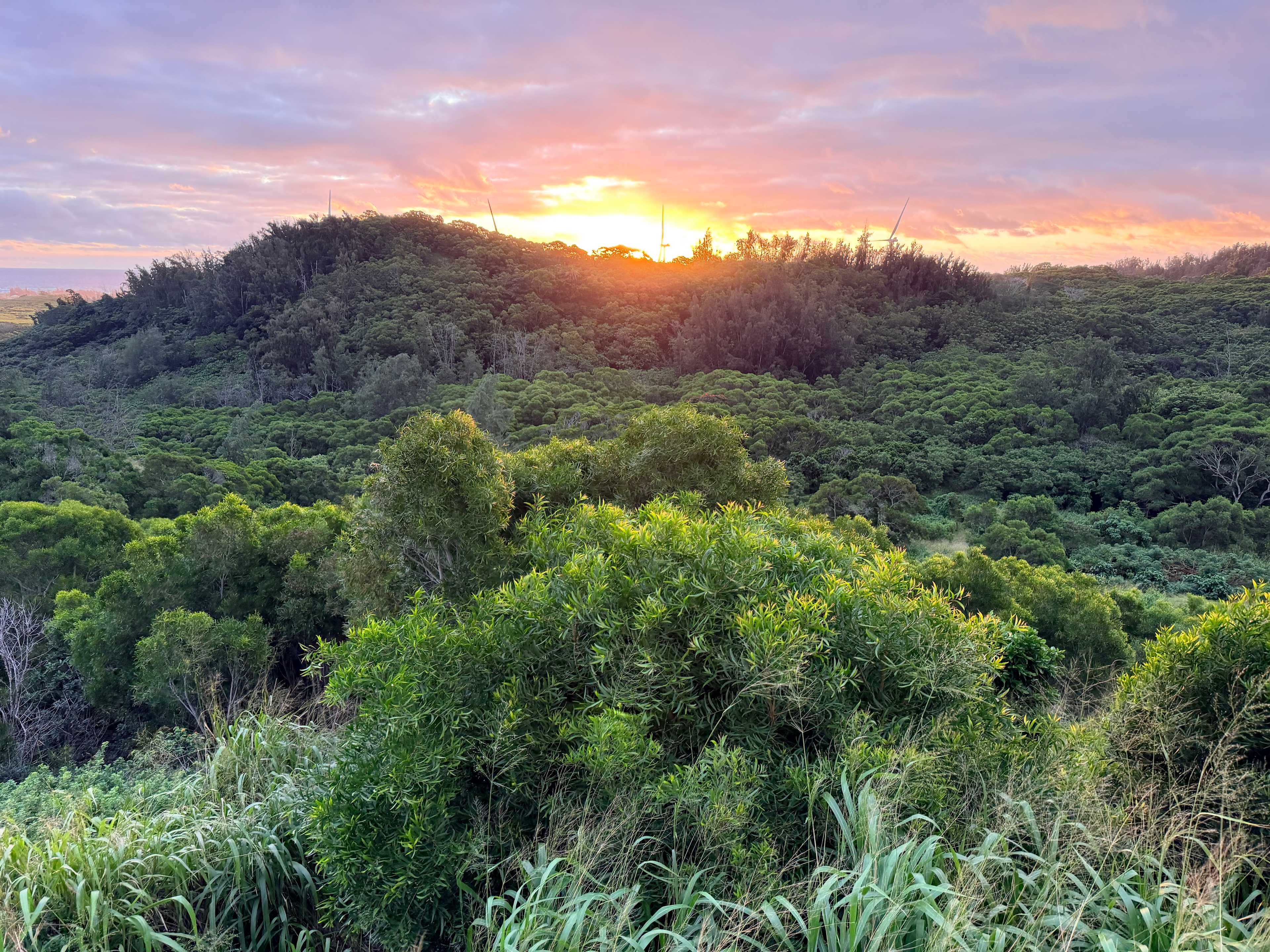 Green Hills Organic Farm