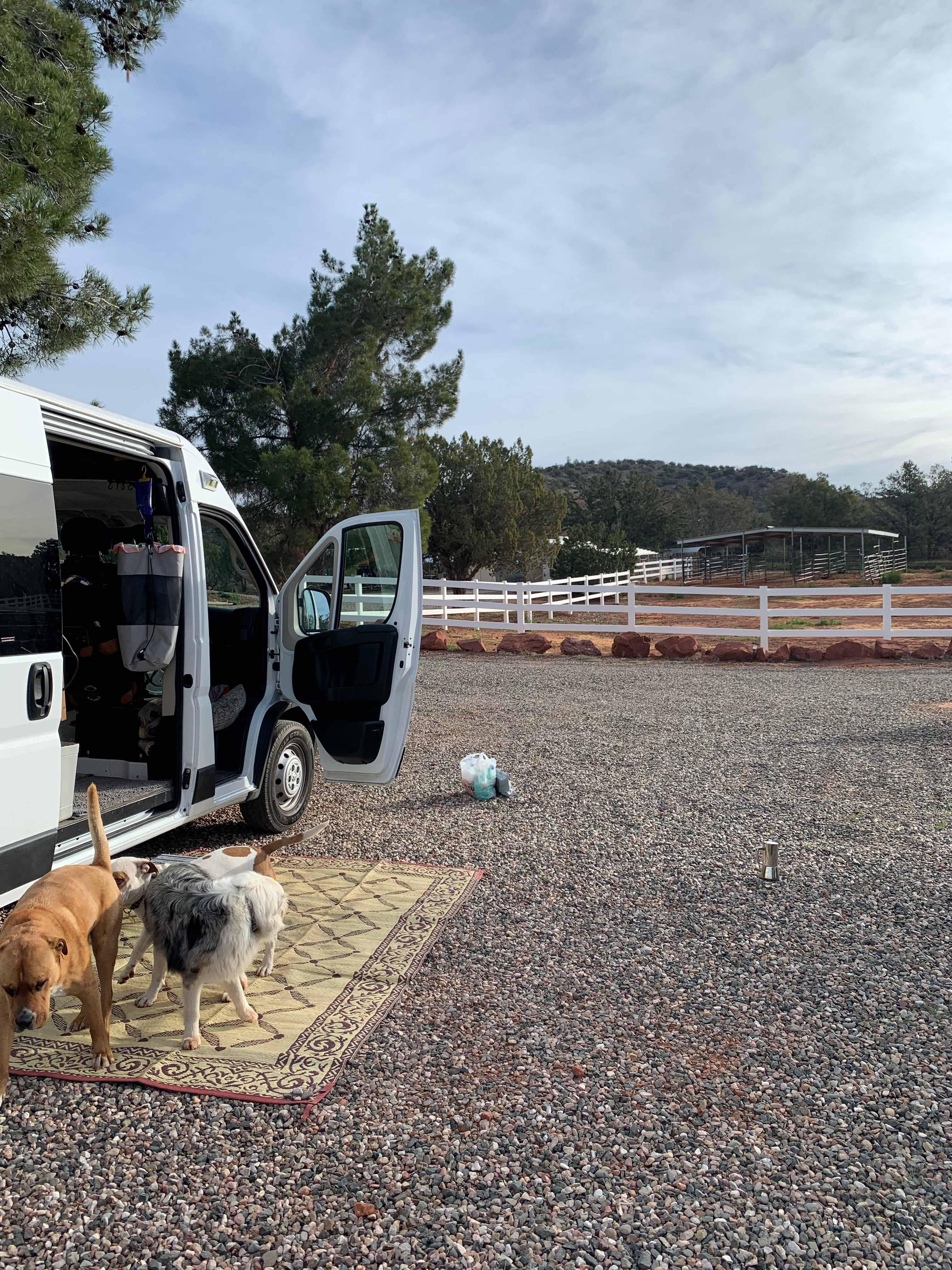 Red Rock Camp Horses Welcome