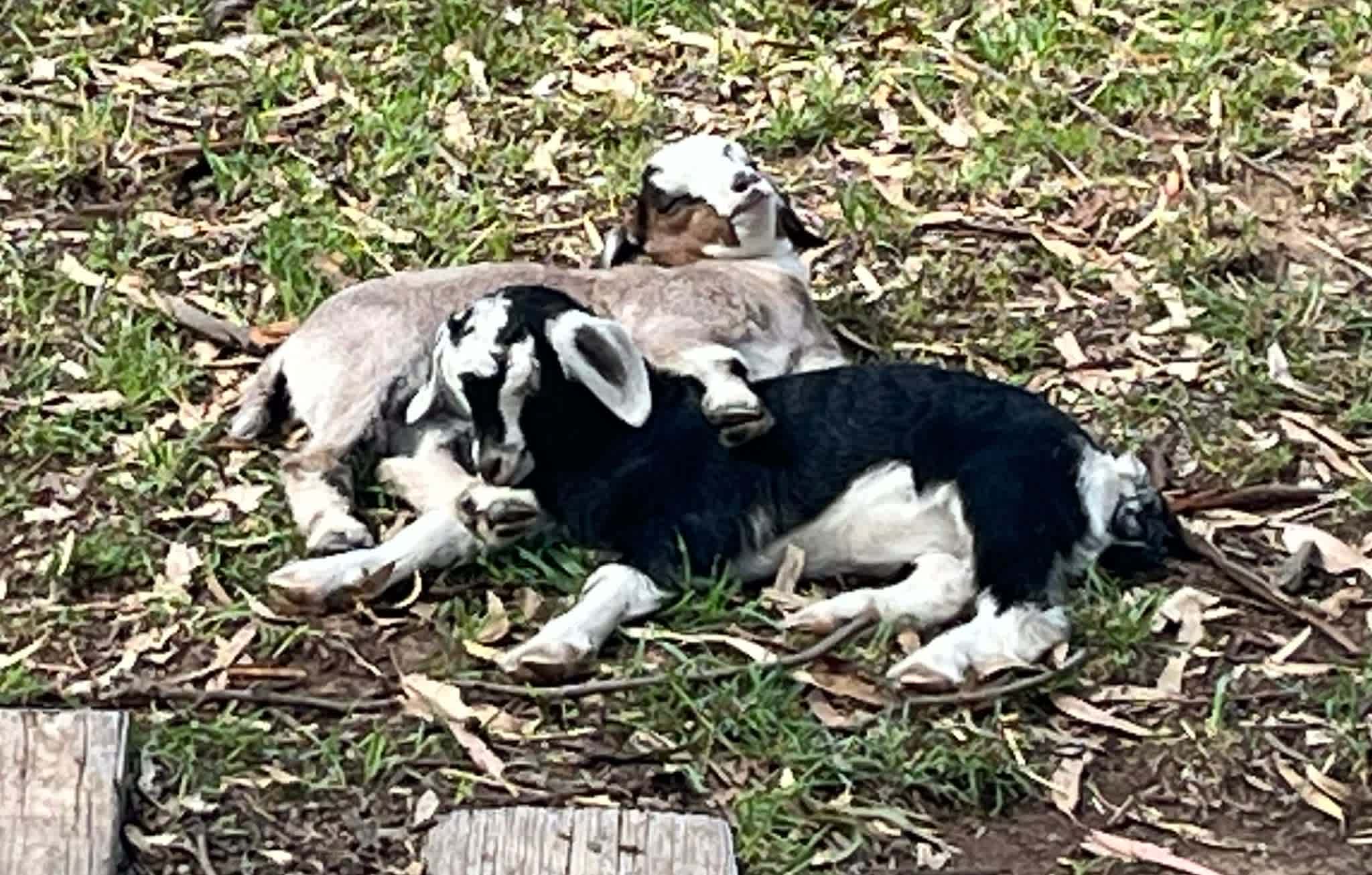 Hidden Beauty on Broken Creek