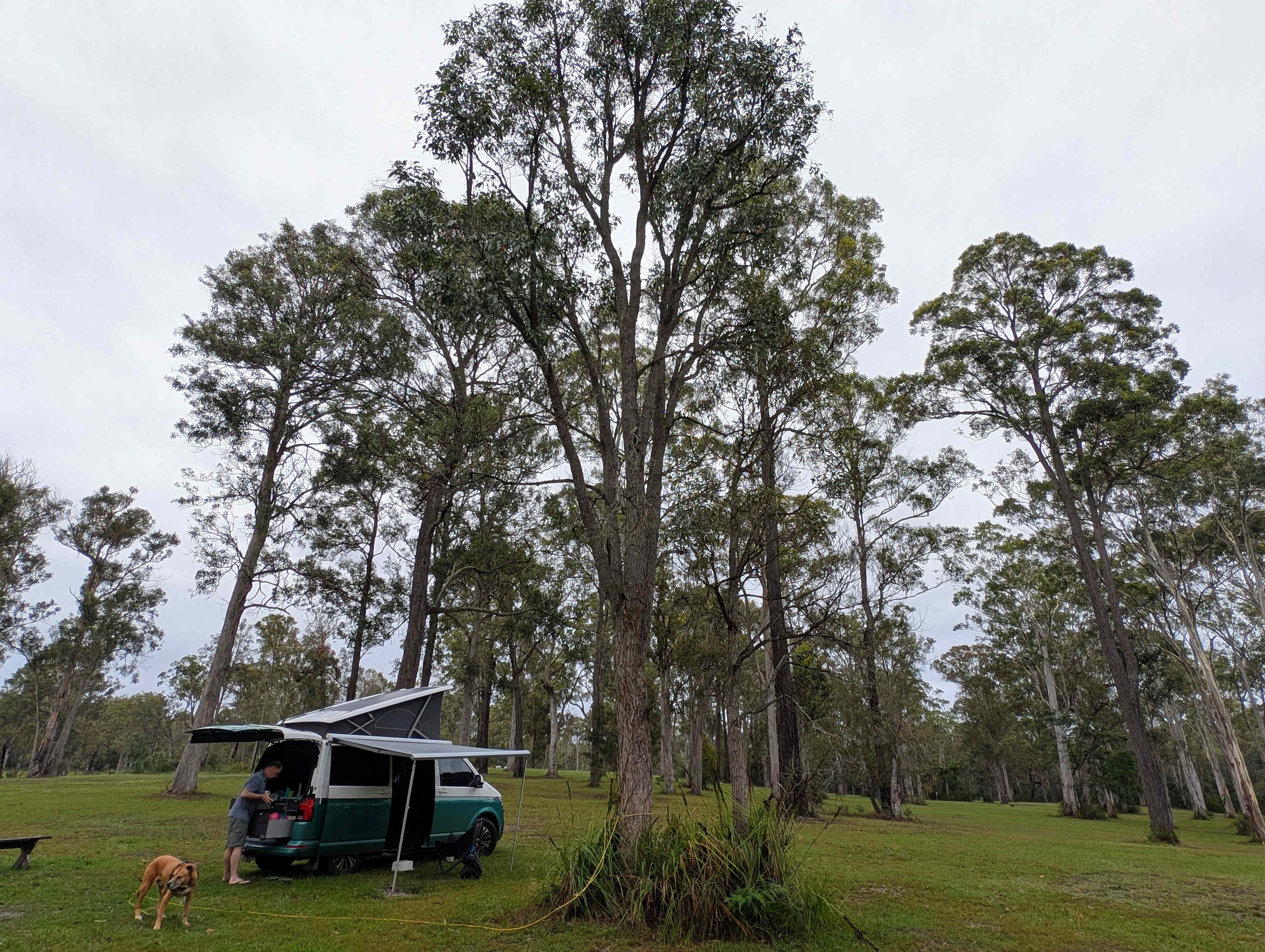 Tomakin River Camping