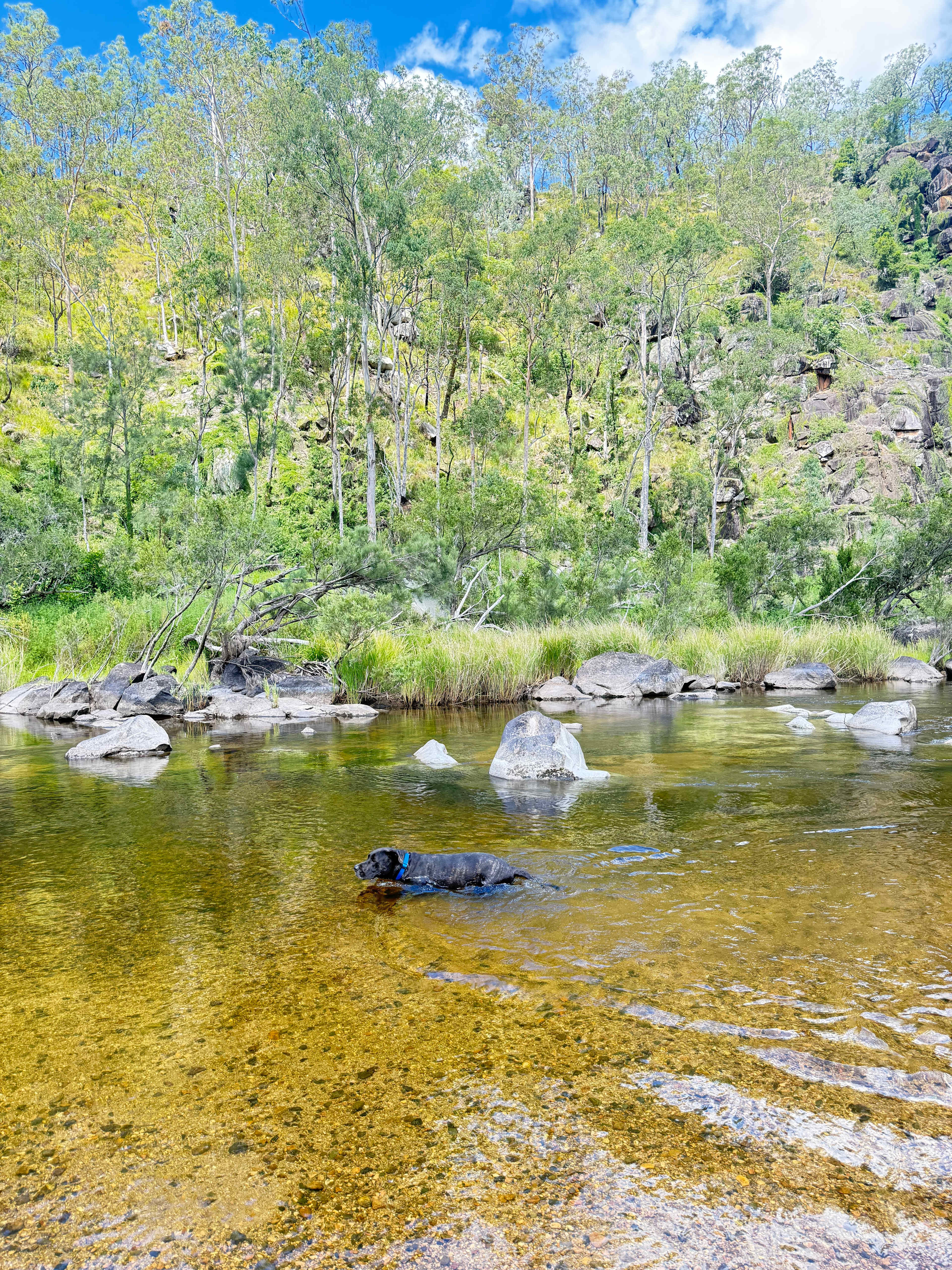 Eagle Ridge Bush Retreat