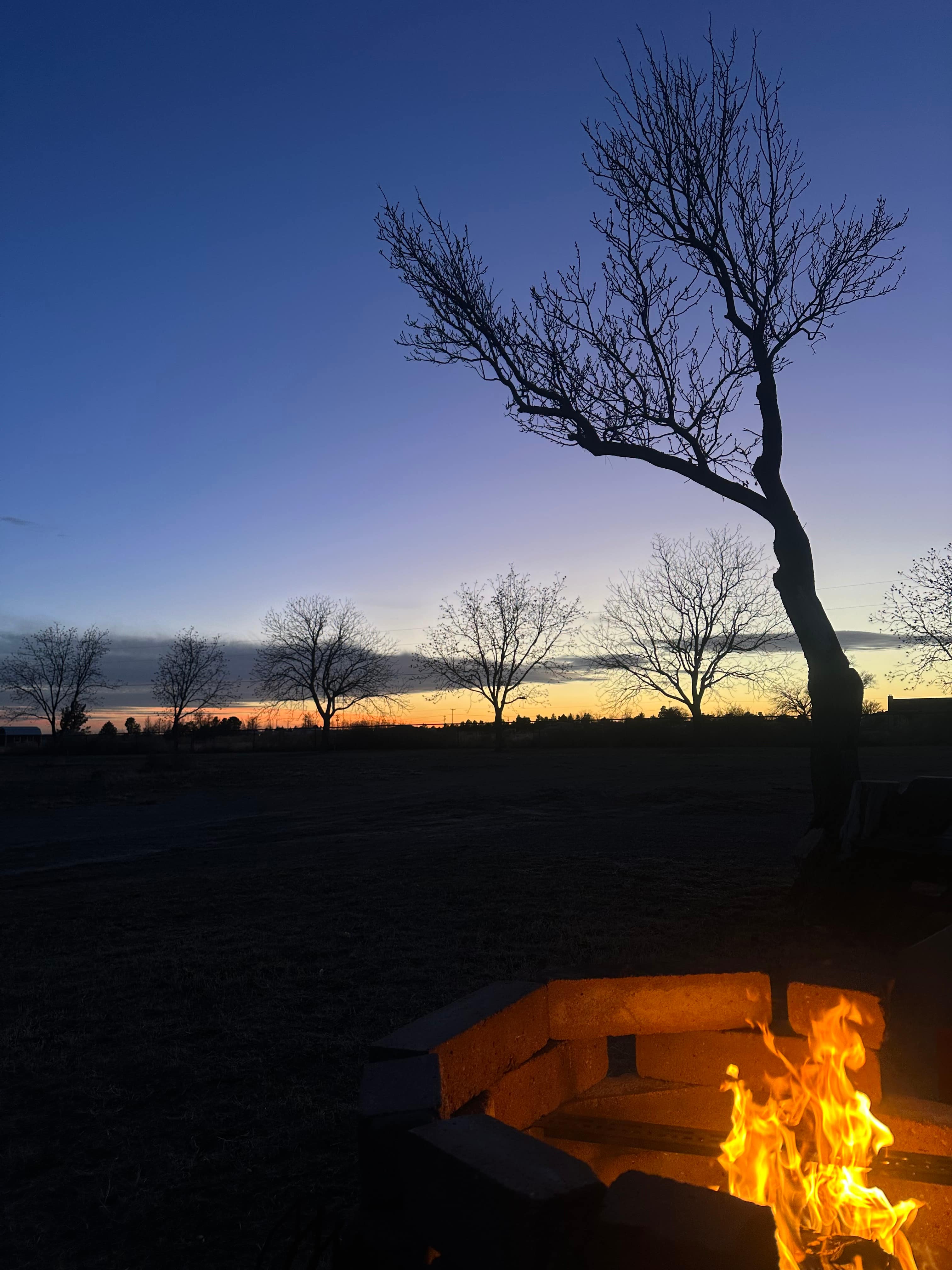 Desert Rose Stopover