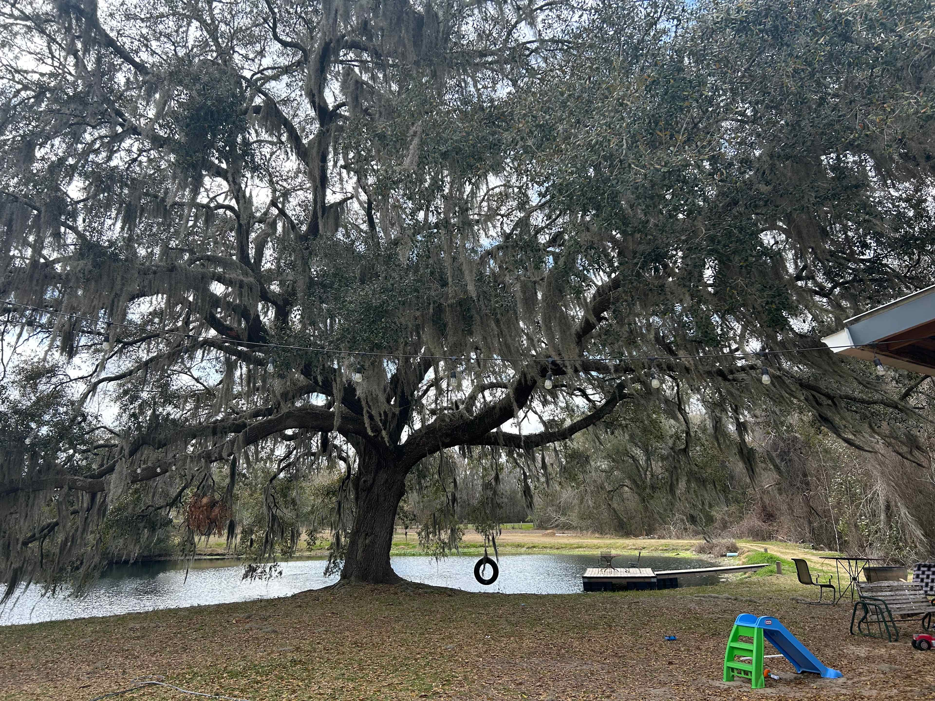 Our Peaceful farm near Alachua