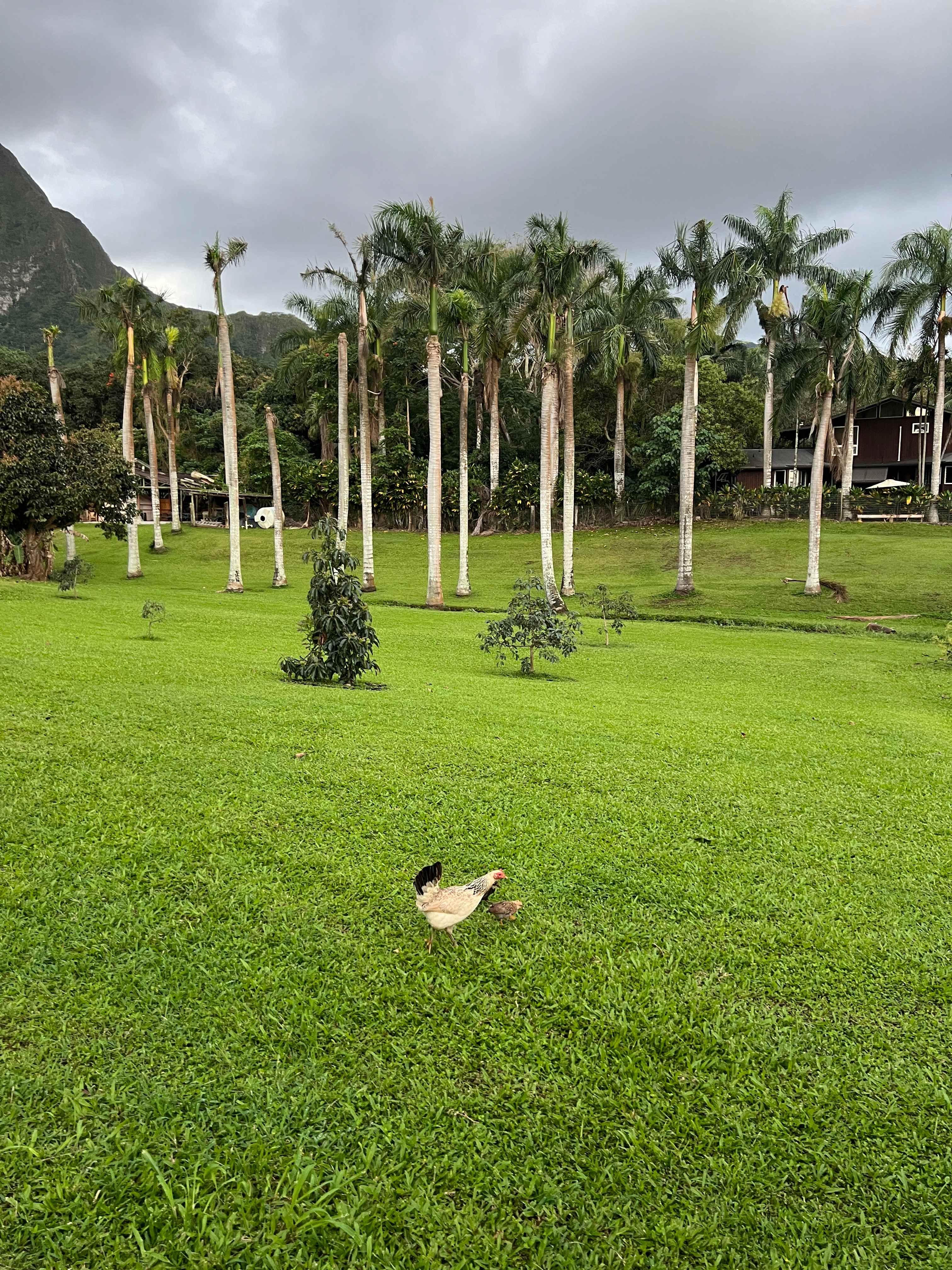 Waimanalo Farmstay