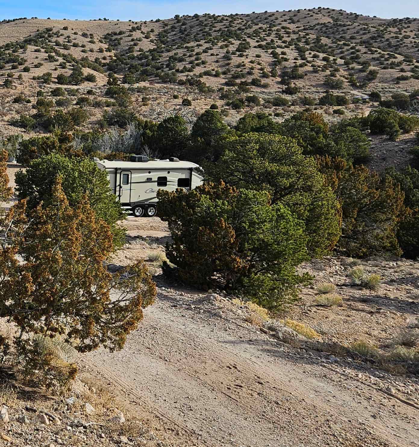 Tierra del RavenTree