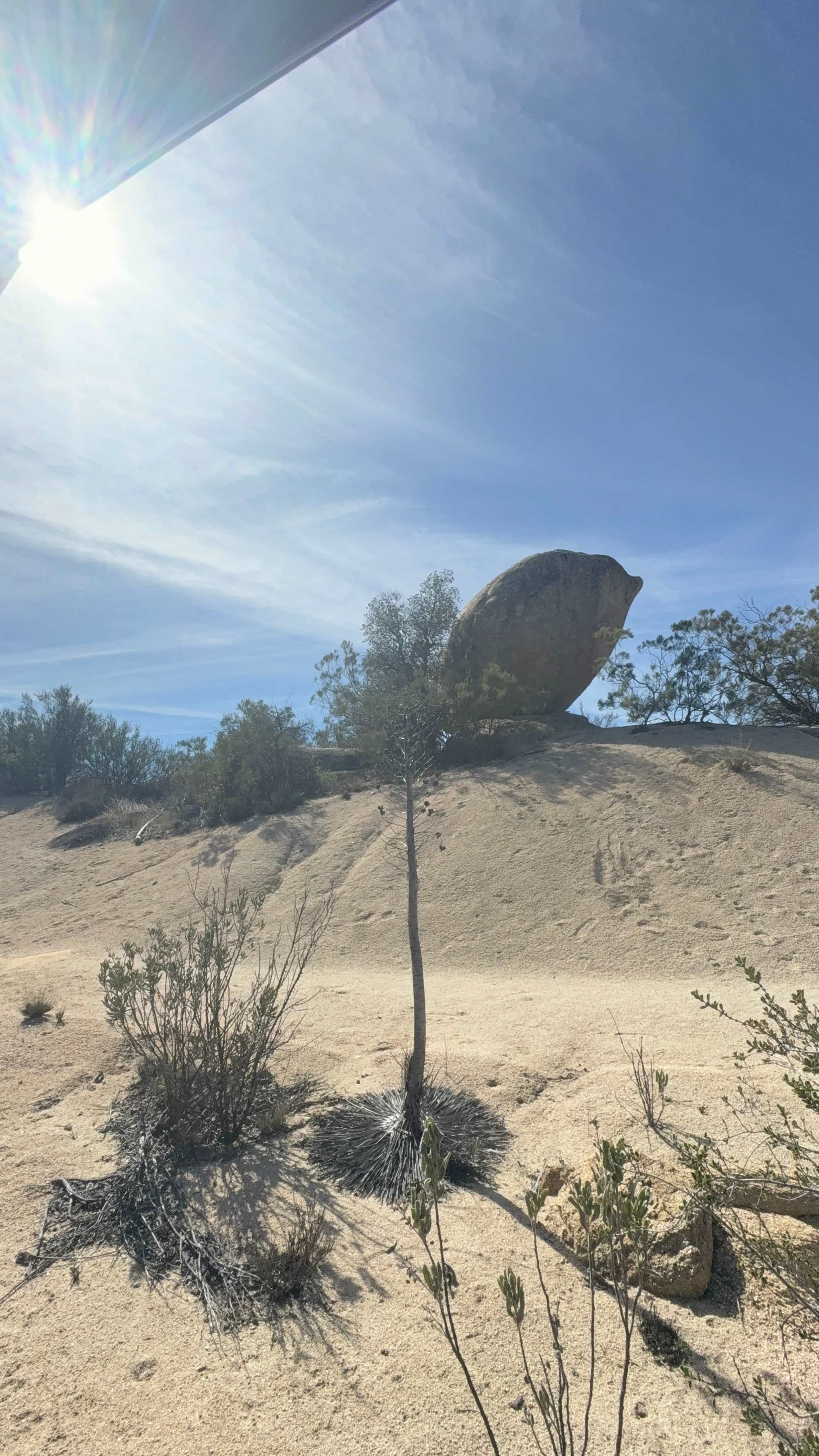 Serene Mountain Valley Ranch