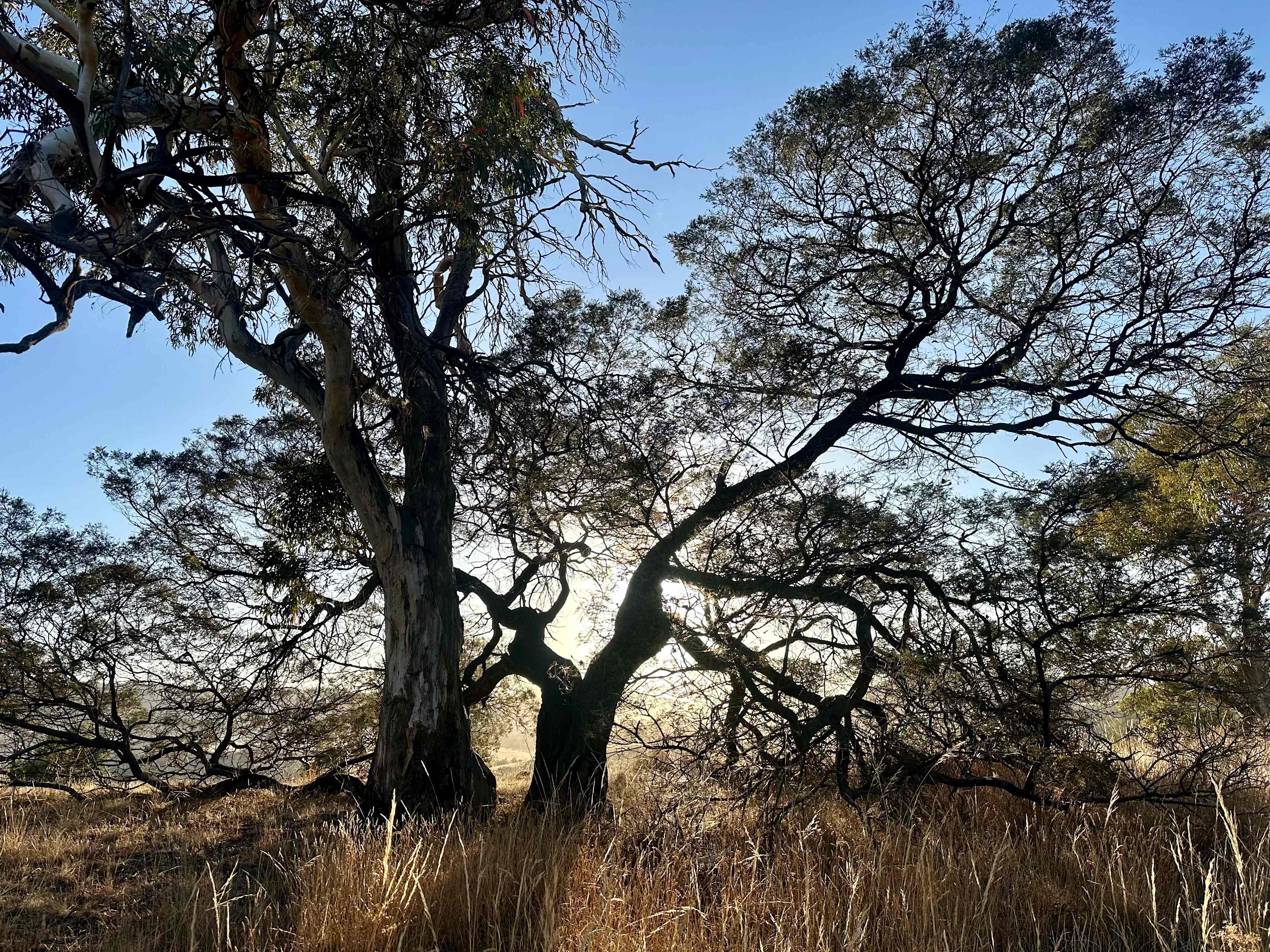 Prossers Ridge Richmond