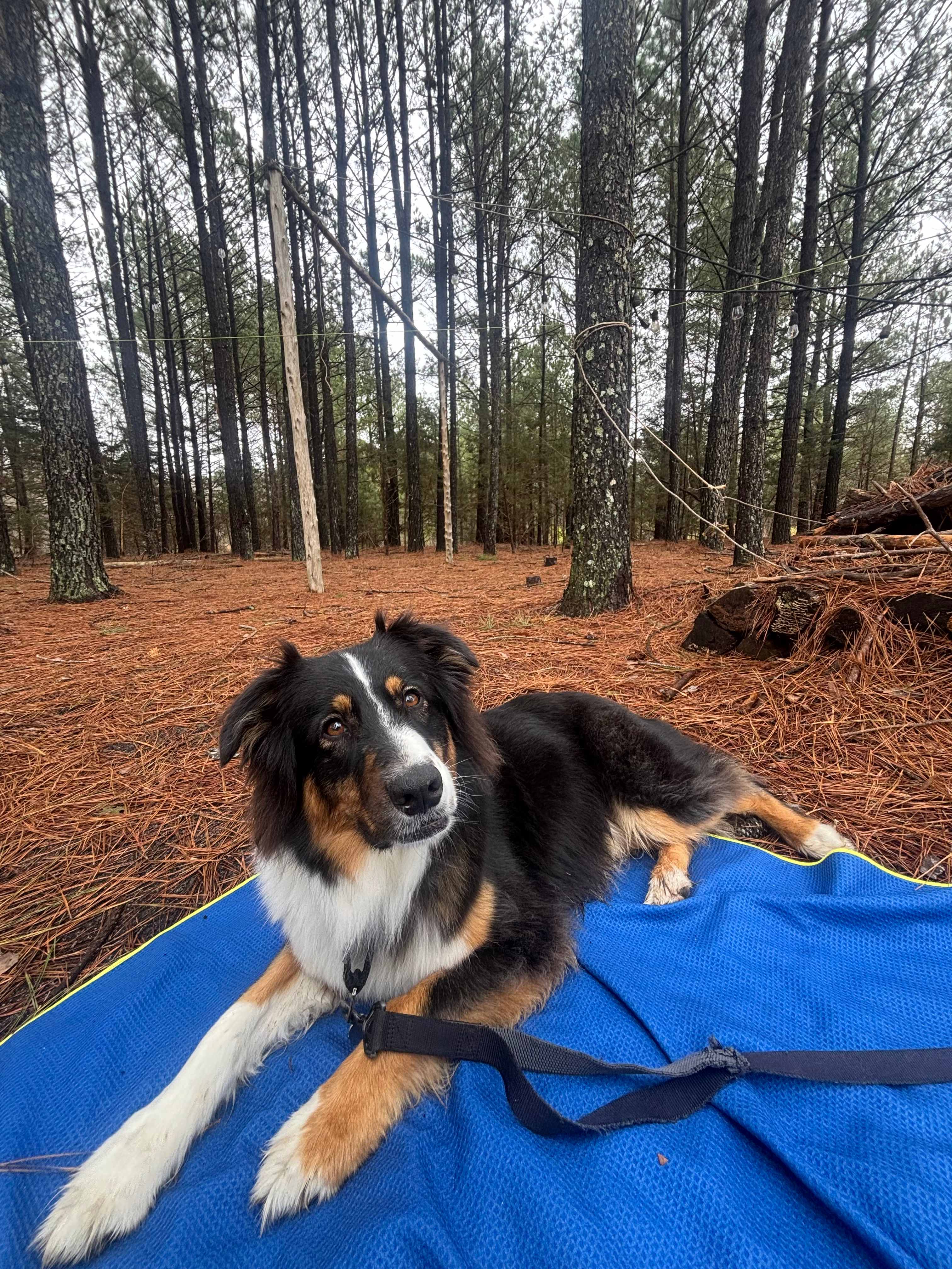 SXPHW Country Club Camping & Events