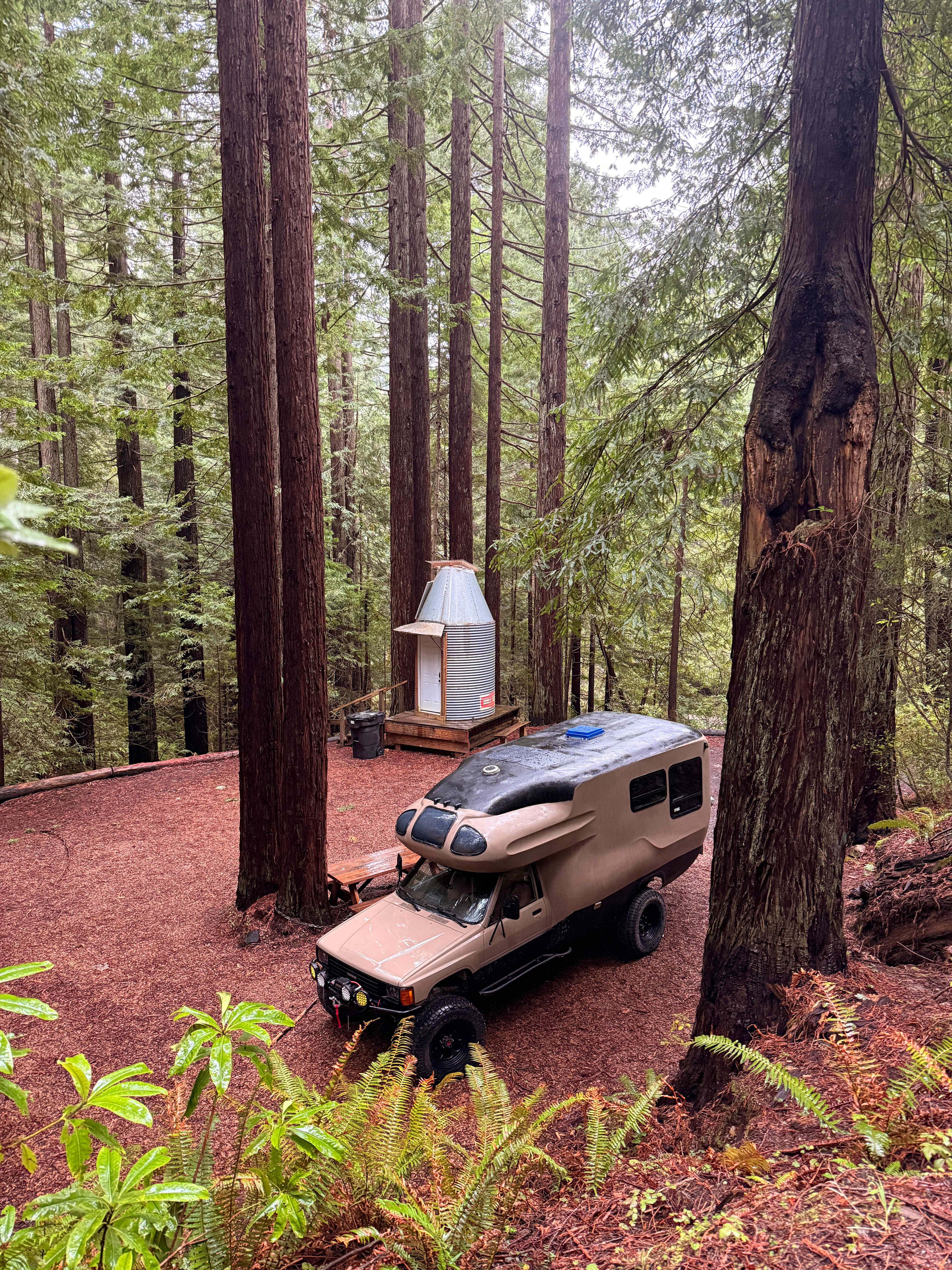 Whispering Redwood Creek