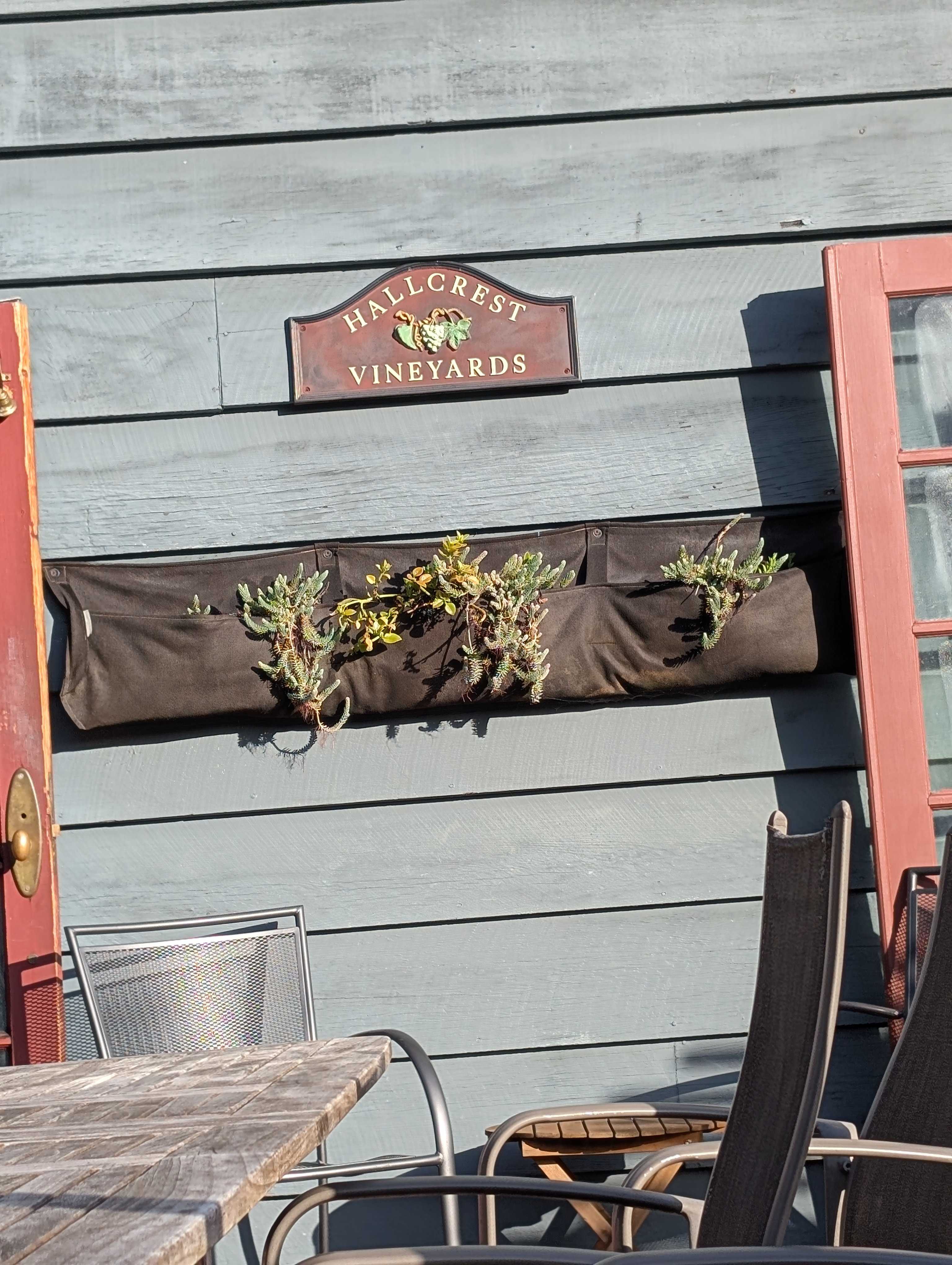 After your hike, have a drink at the vineyard.