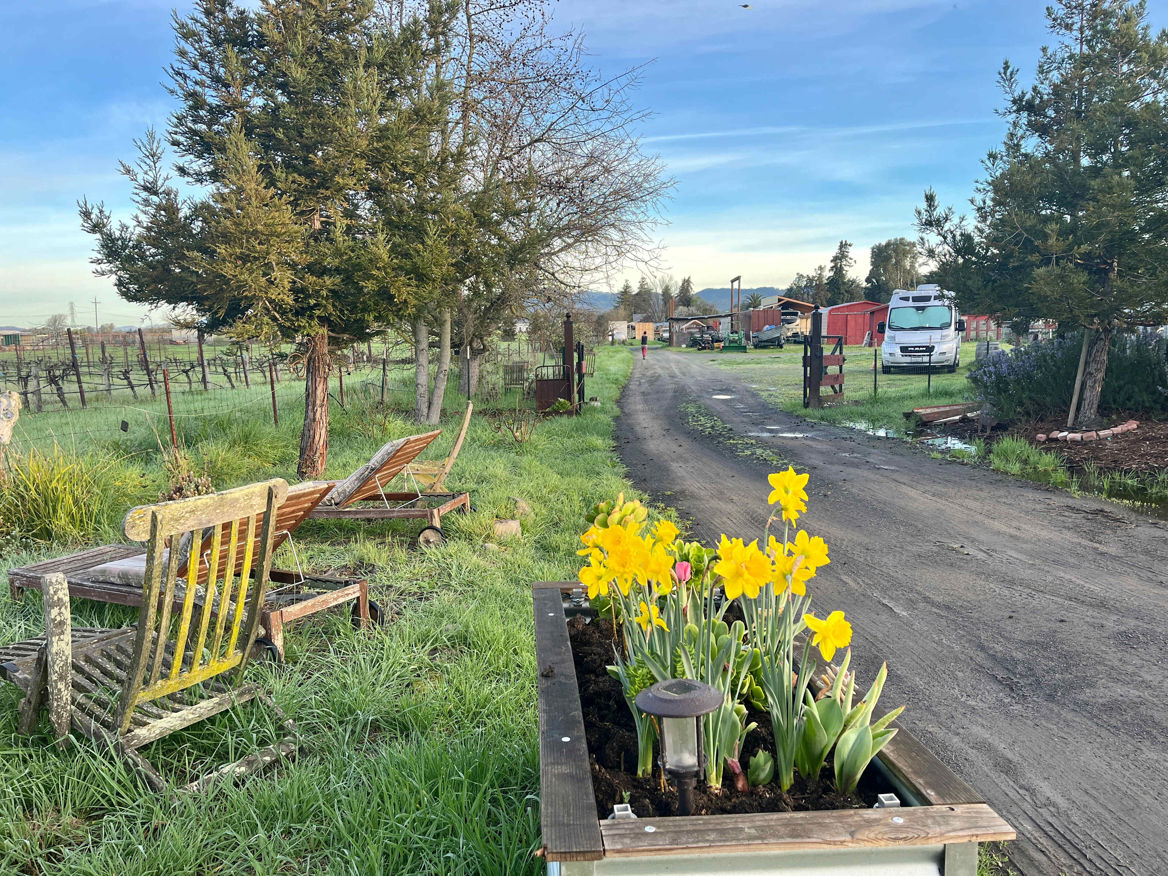 Pharo Pharms Organic Farm-