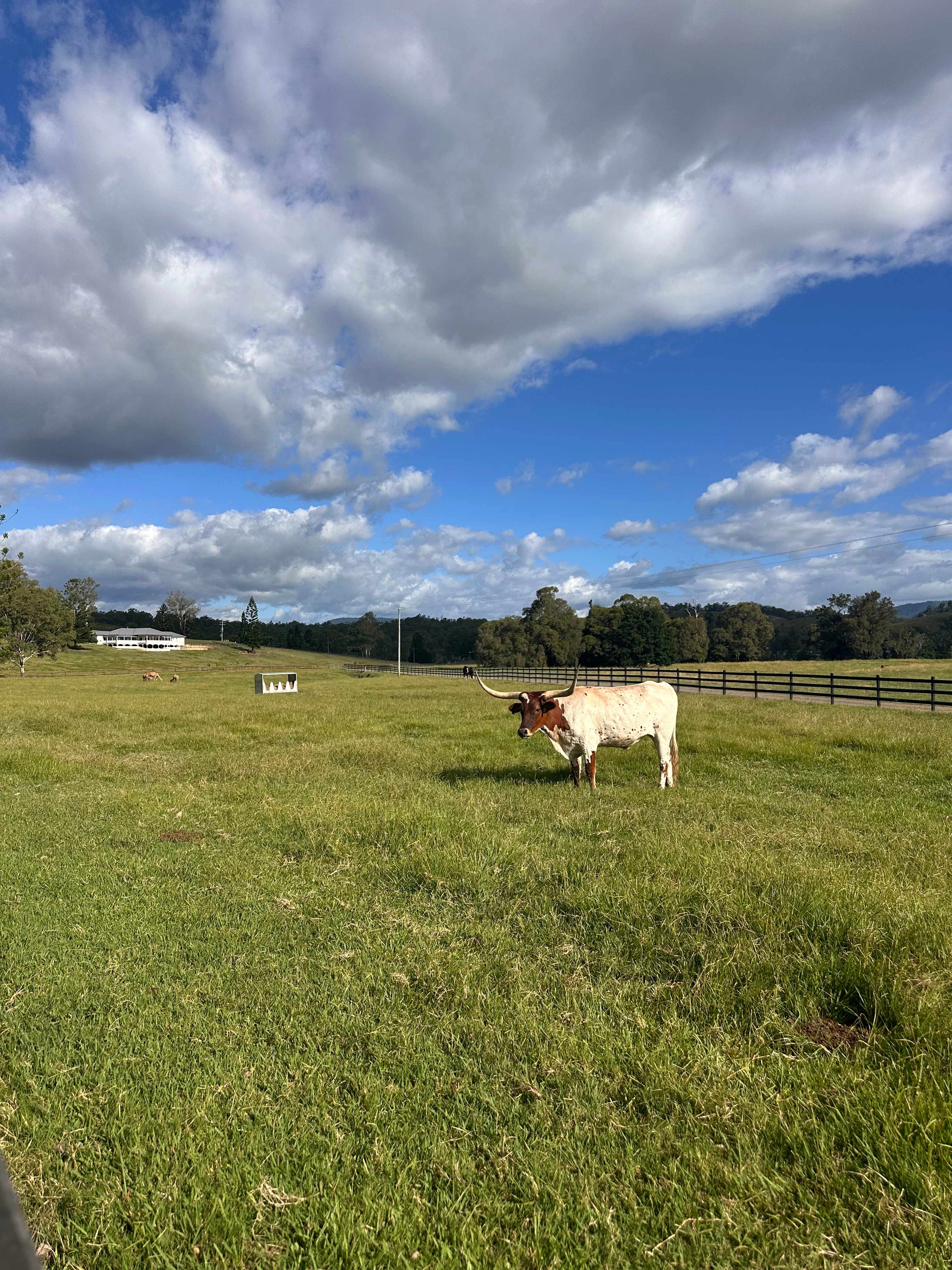 Rathdowney Memorial Grounds Powered