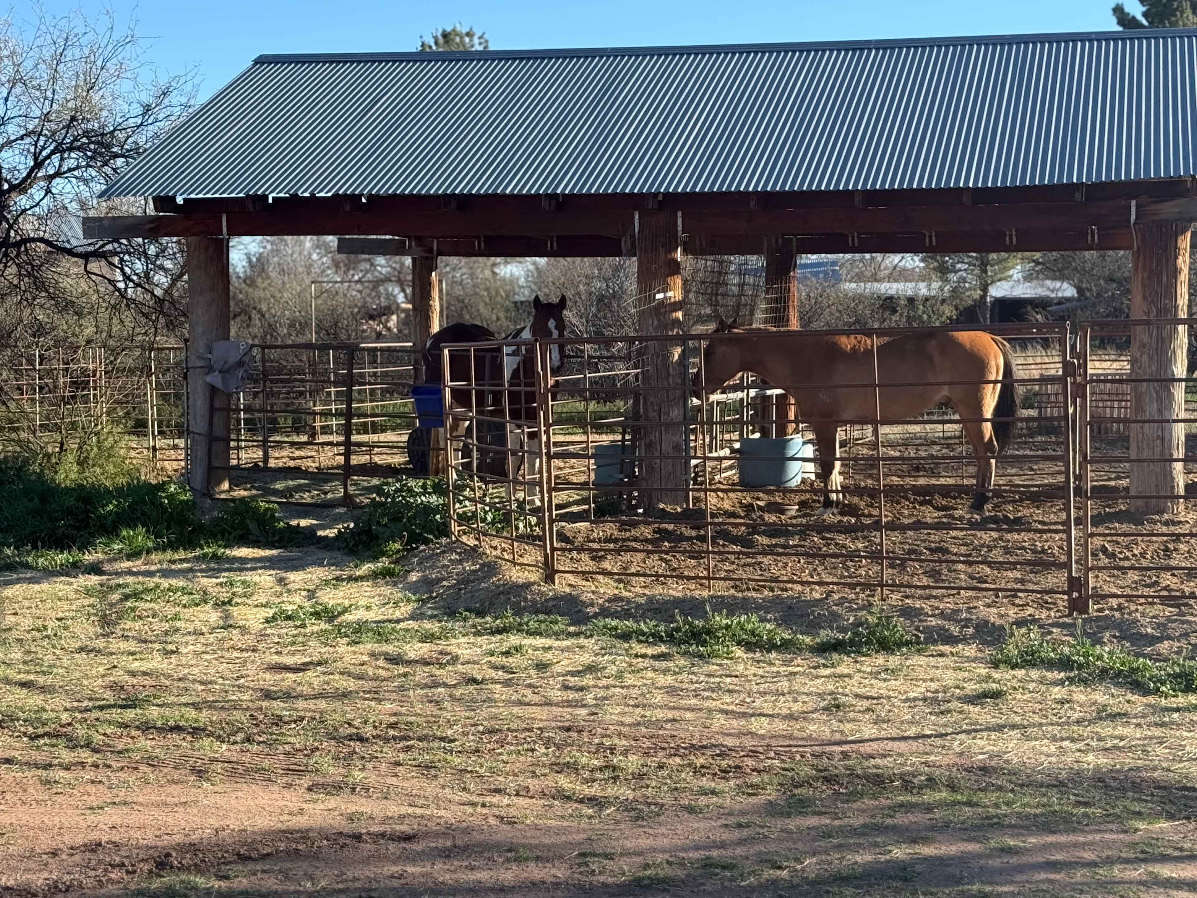 Rancho del Nido RV Horse Camp