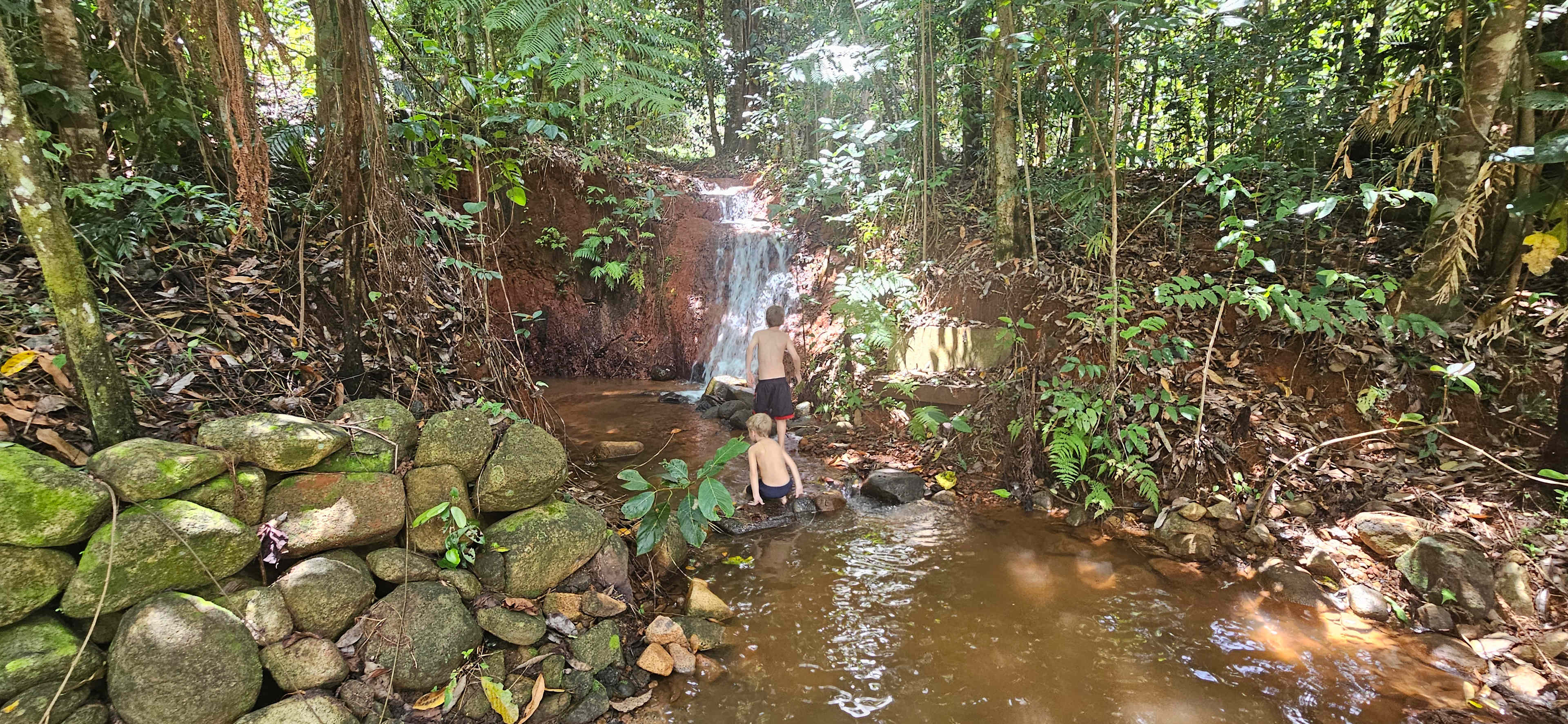 Tully Mountain ⛰️ Views