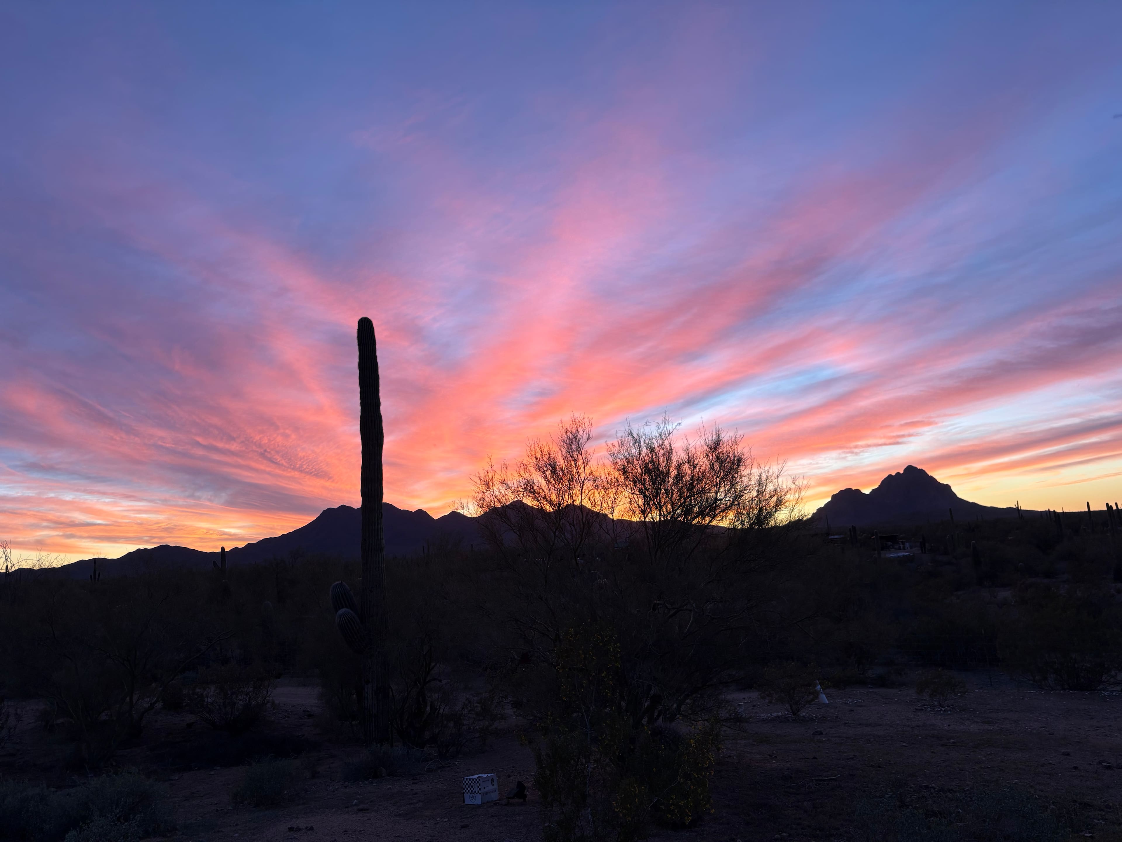 Arizona sunsets, what can I say? 