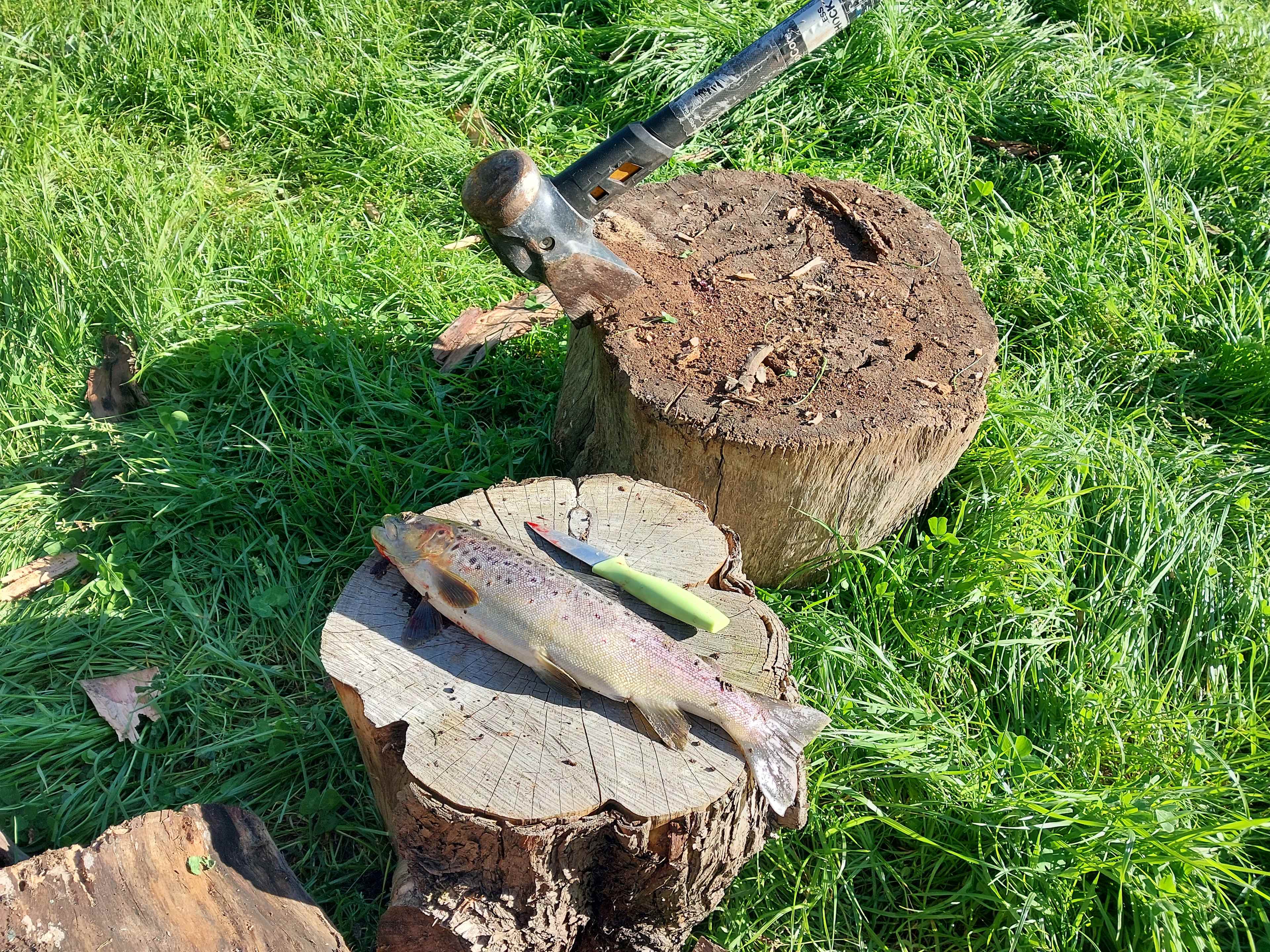 Riverside Goulburn River