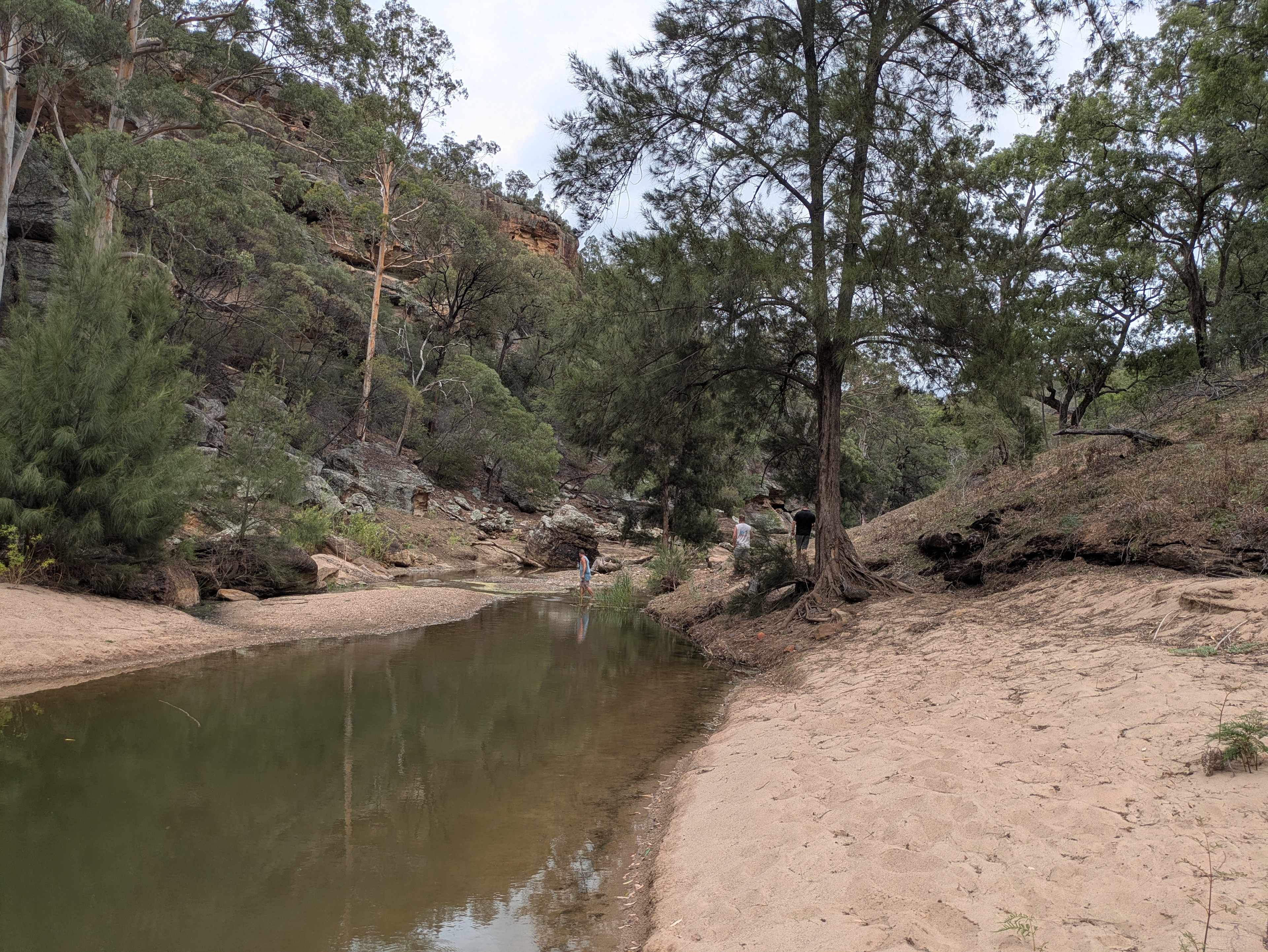 Hillside Camp on Bow River
