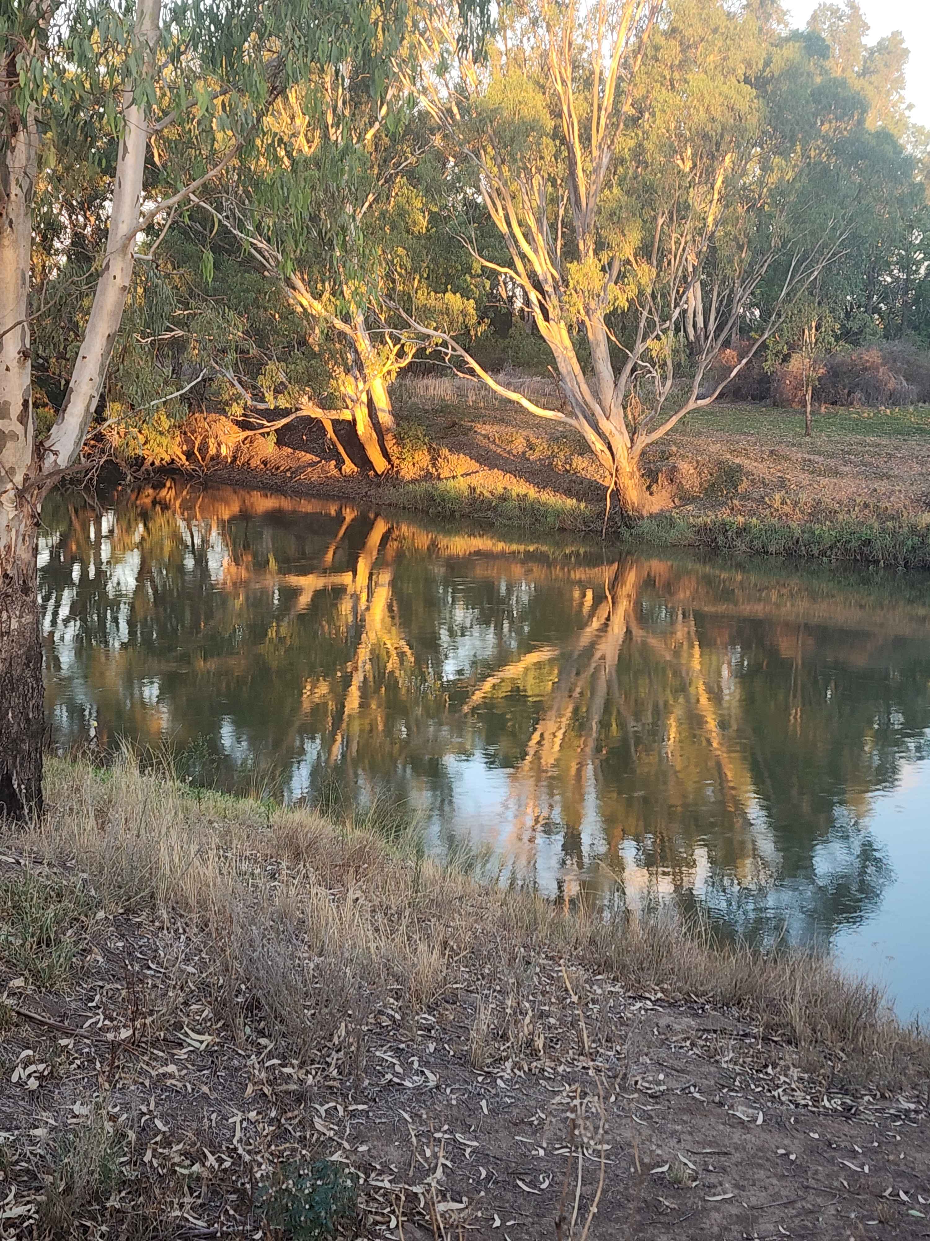 Riverside Farm Retreat